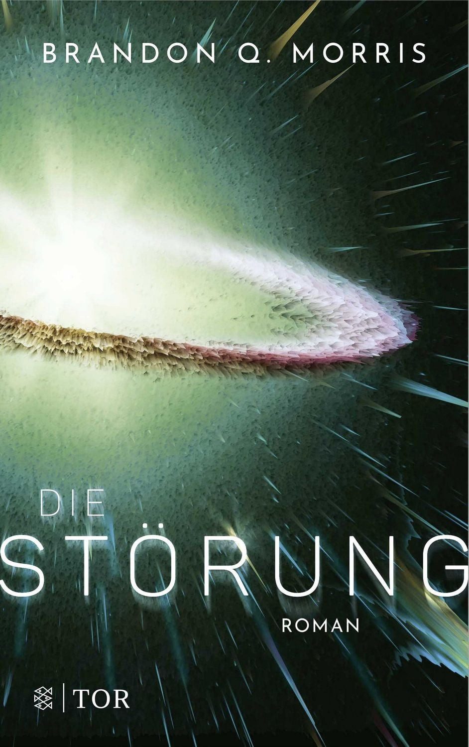 Die Störung Roman / Brandon Q. Morris, Roman