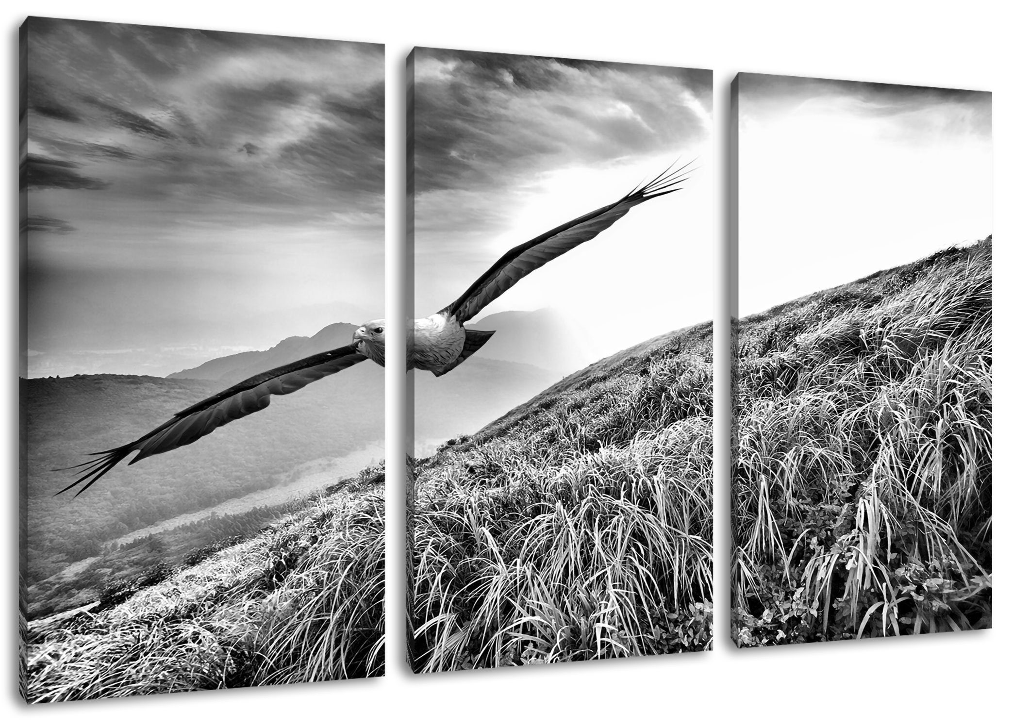 Pixxprint Leinwandbild Majestätischer Weißkopfseeadler, Majestätischer Weißkopfseeadler 3Teiler (120x80cm) (1 St), Leinwandbild fertig bespannt, inkl. Zackenaufhänger