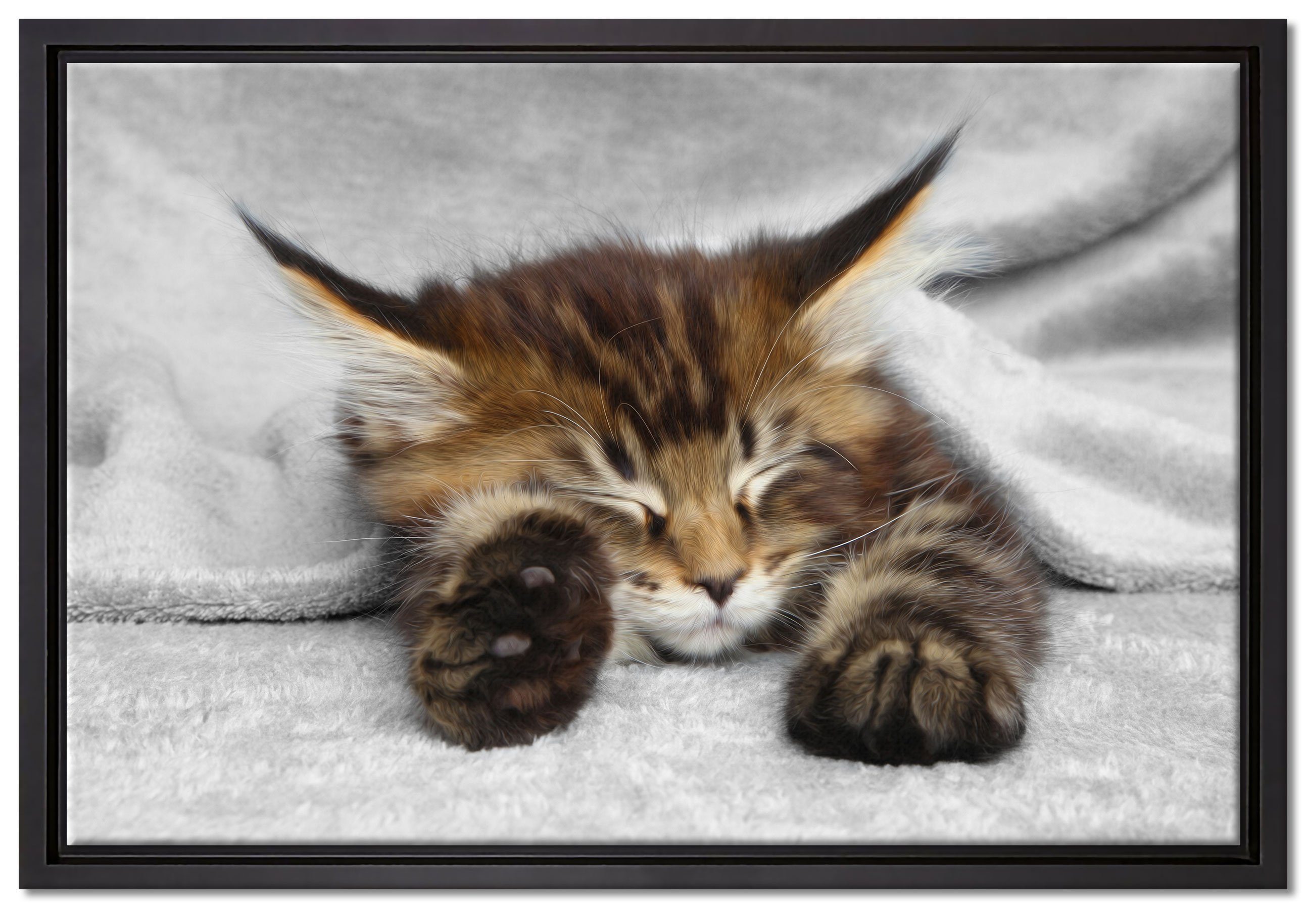Schattenfugen-Bilderrahmen Pixxprint (1 Leinwandbild großen fertig Katze mit bespannt, inkl. Zackenaufhänger Wanddekoration in schlafende Leinwandbild Ohren, St), gefasst, einem