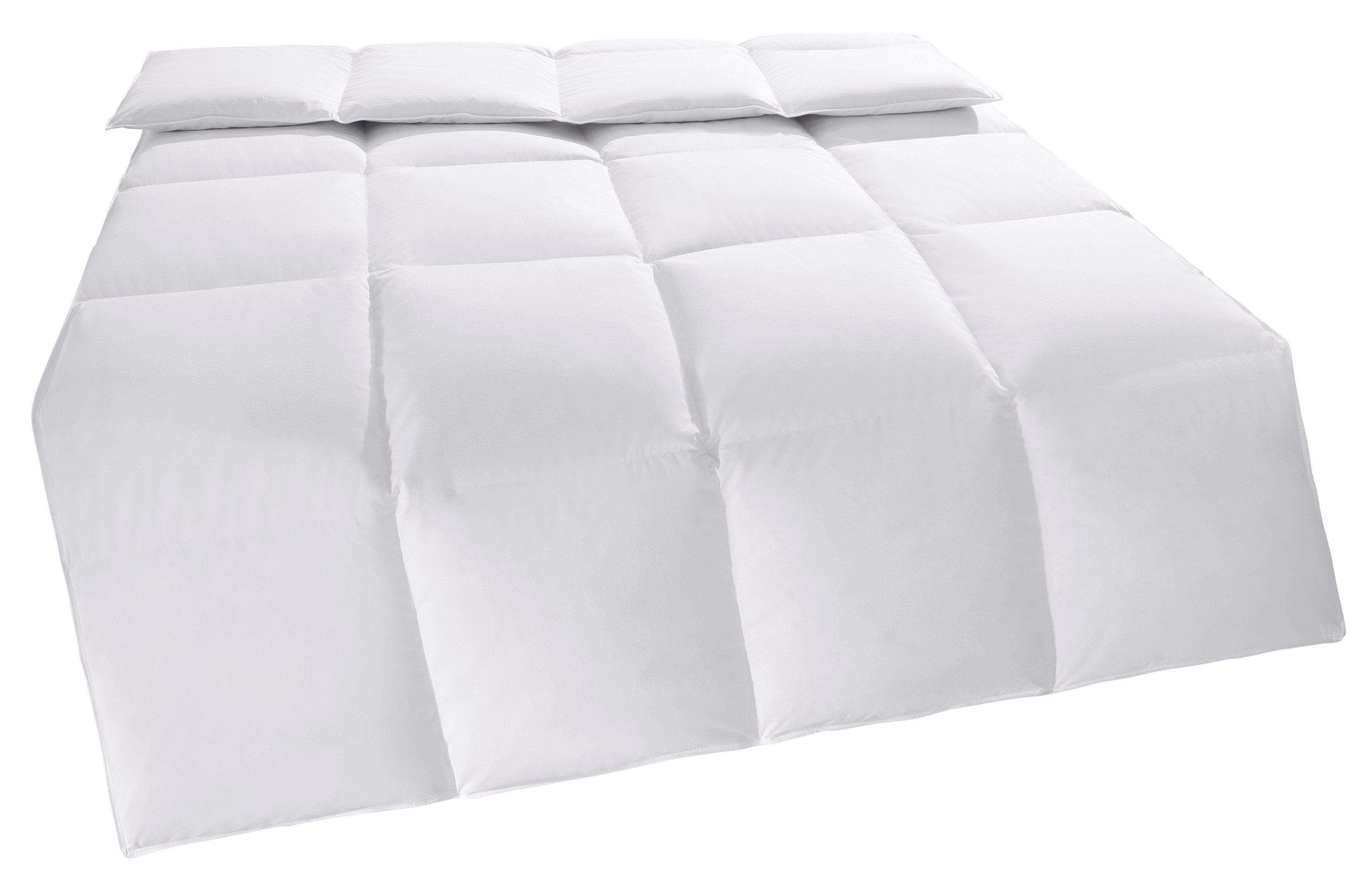 my home Daunenbettdecke Covino, Bettdecke 135x200 cm, 155x220 cm, Füllung: günstig online kaufen