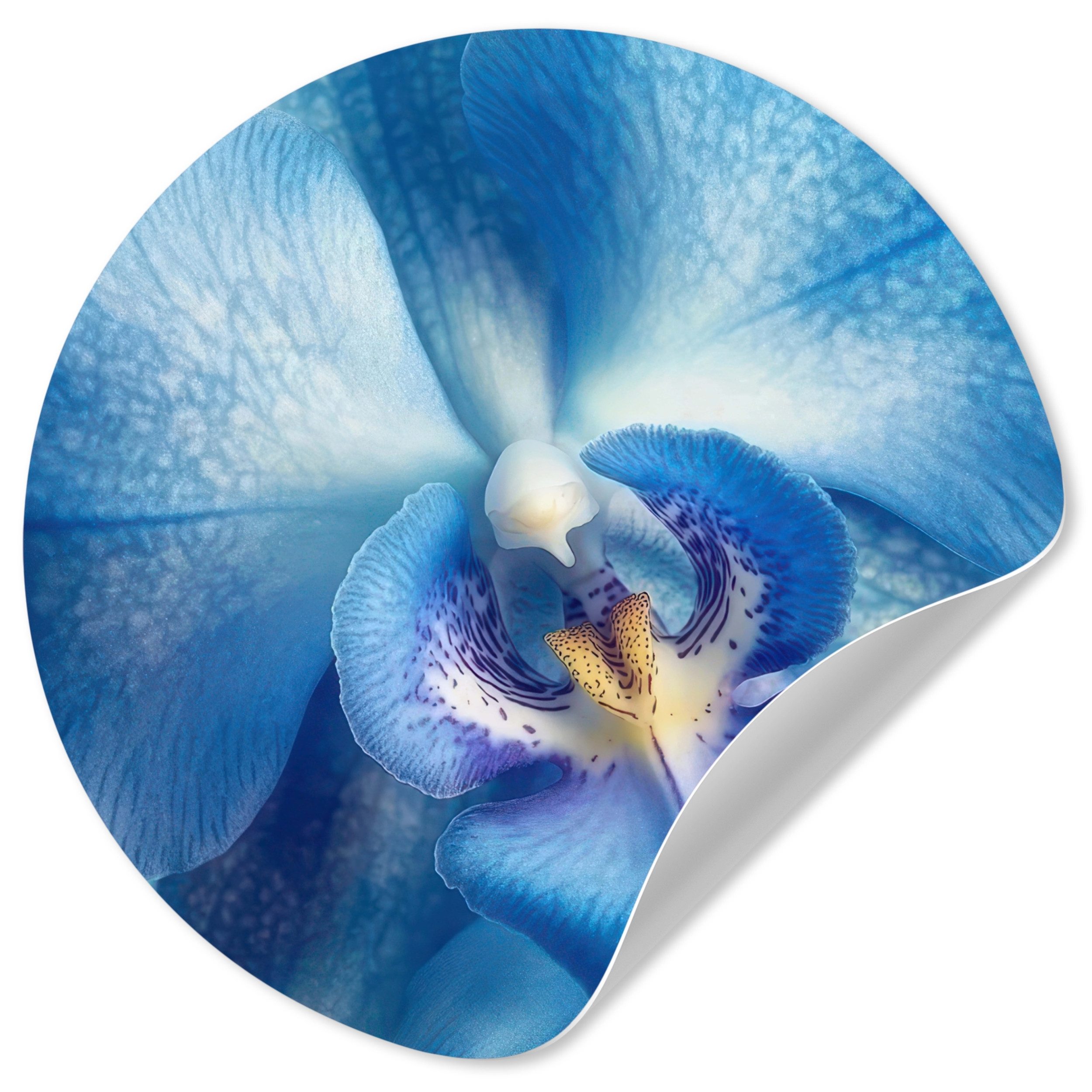 MuchoWow Wandsticker Blau - Orchidee - Elegeant (1 St), Wandtattoo Selbstklebend, Wohnzimmer Deko Aufkleber, 30x30 cm