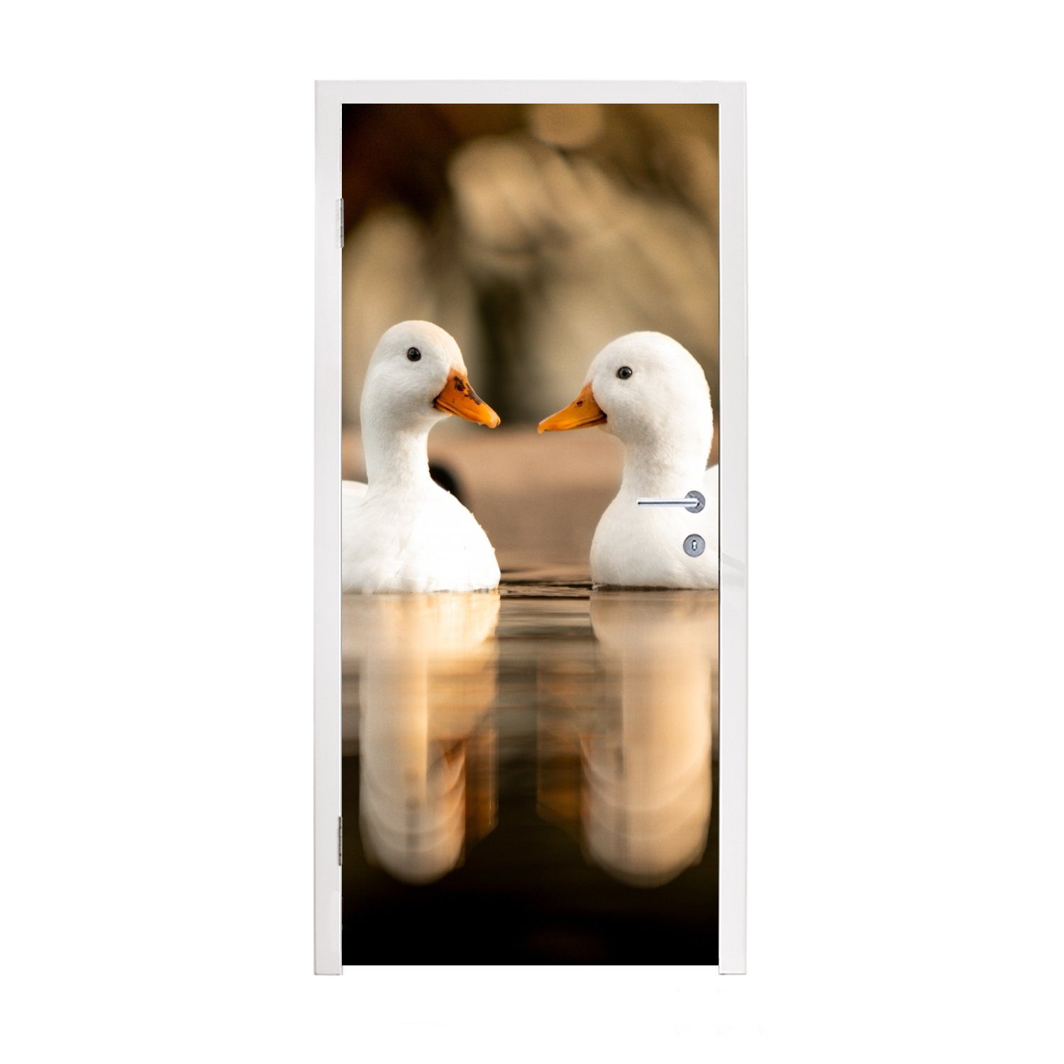 75x205 - Matt, Türtapete Weiß Türaufkleber, für St), - (1 Tiere Wasser Vogel - Ente - Enten, Fototapete - bedruckt, Tür, MuchoWow cm