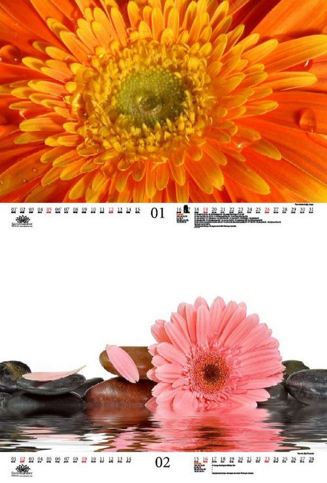 Thumbnail - Seelenzauber Wandkalender Gerberazauber DIN A3 Kalender für 2025 Gerbera und Blüten