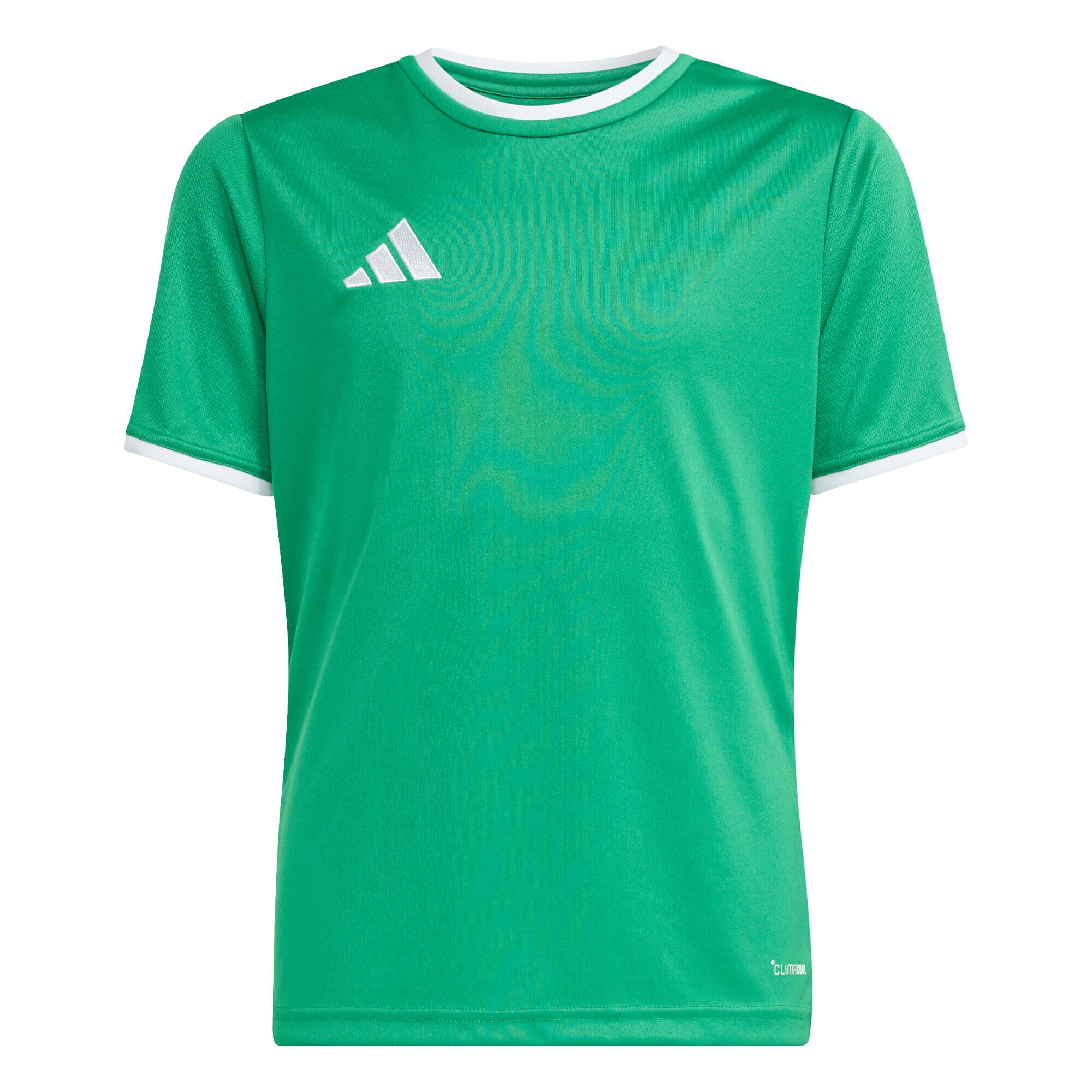 Fußballtrikot adidas Kinder Trikot Entrada 26 Jersey Y