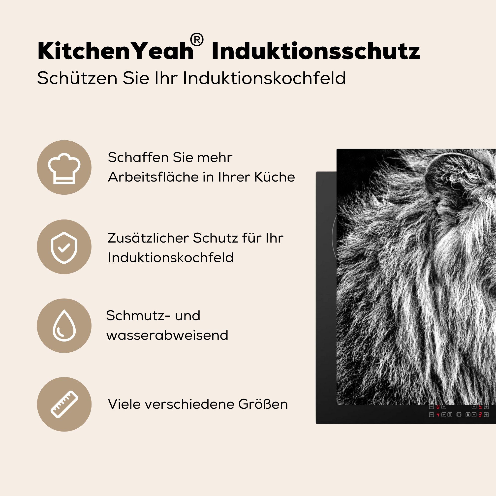 MuchoWow 71x52 Induktionskochfeld küche, Weiß, - Porträt Schutz Schwarz - die cm, Ceranfeldabdeckung Vinyl, (1 tlg), Herdblende-/Abdeckplatte - für Löwe