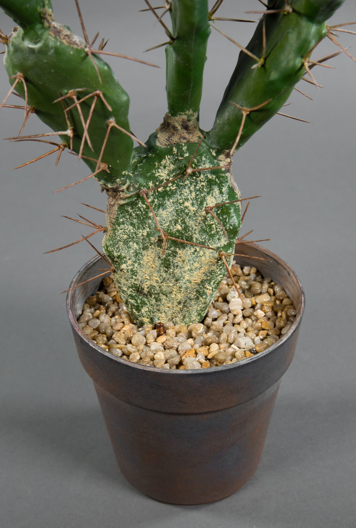 Kunstkaktus Ohrenkaktus Natura 60x30cm im Topf DP Kunstpflanzen künstlicher günstig online kaufen