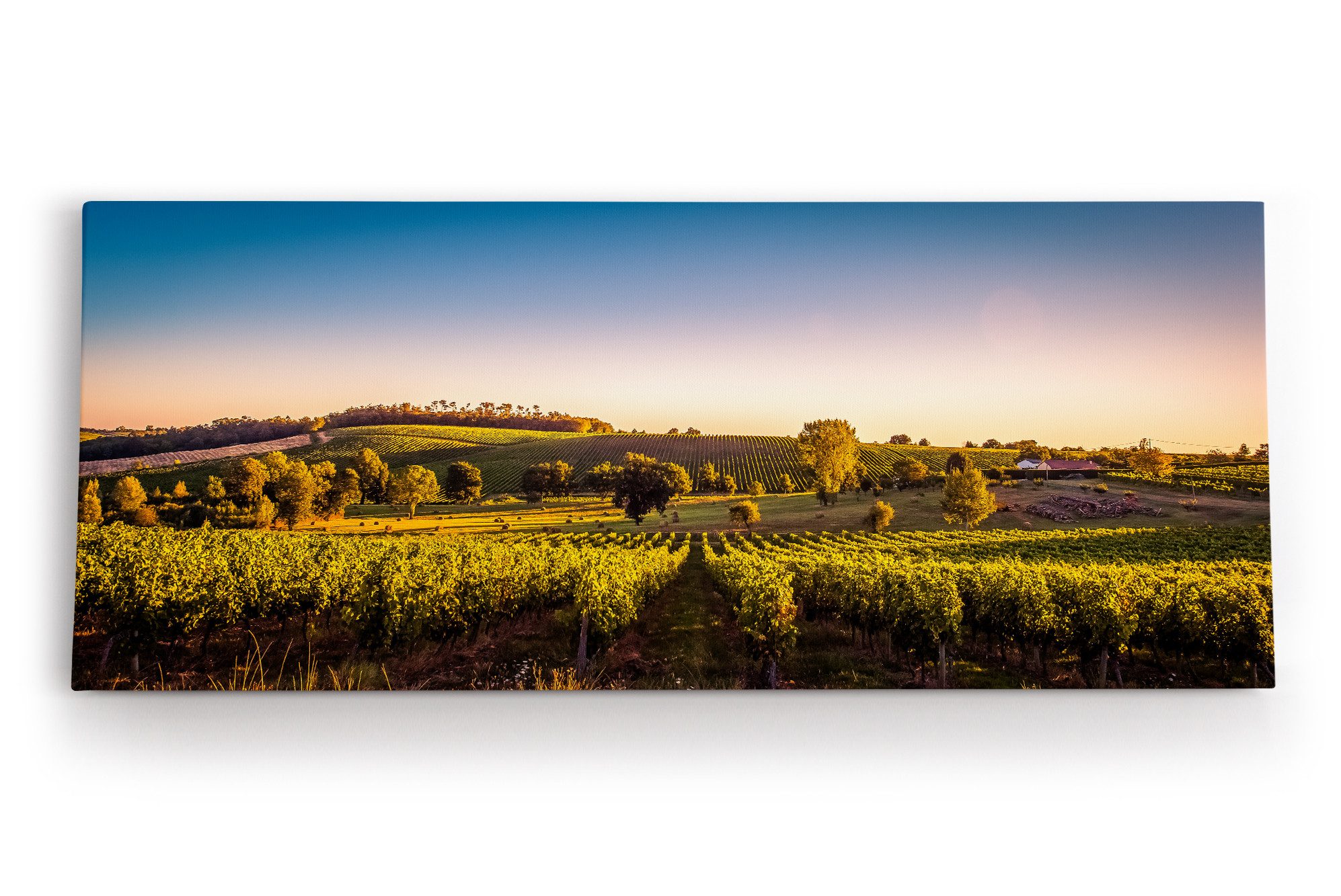 Leinwandbild Frankreich Weinfelder Weinstöcke Landschaft Sonnenuntergang