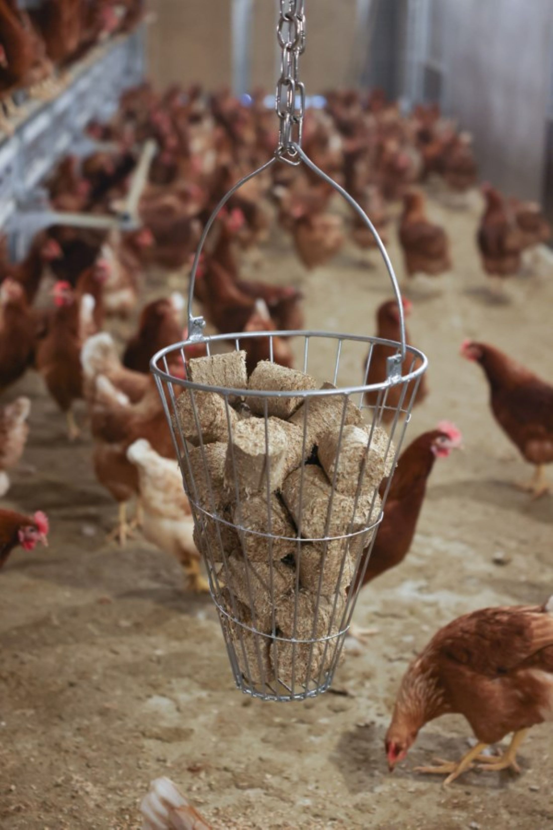 Kerbl Futterautomat Kerbl 70280 Futterkorb Grünfutterkorb Futtertrog Eisenkorb