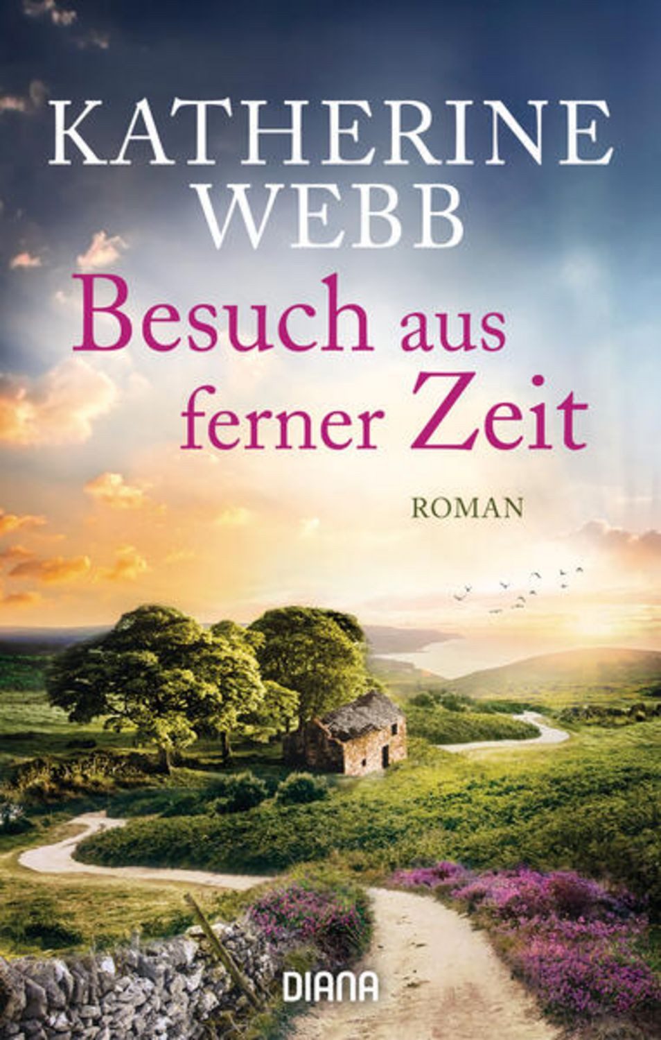 Besuch aus ferner Zeit / Katherine Webb