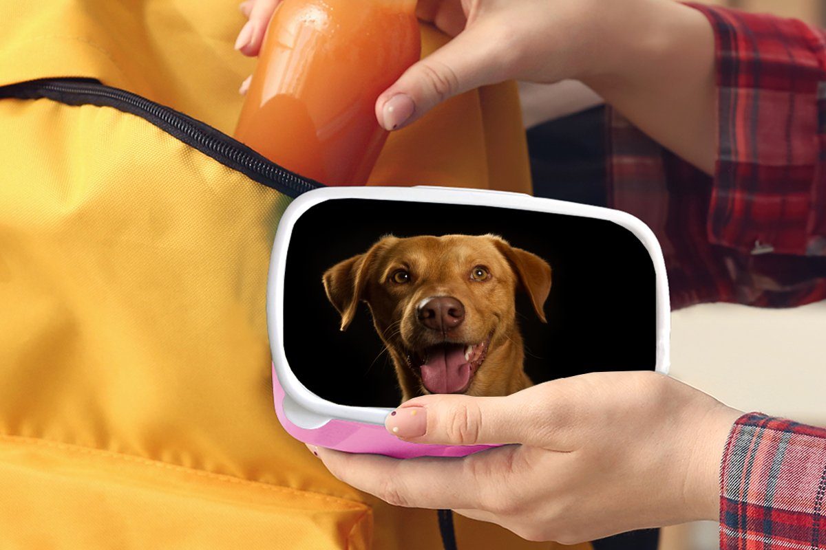 Porträt, Brotdose - (2-tlg), Lunchbox Kunststoff für Haustiere Hund Erwachsene, Kinder, MuchoWow rosa Kunststoff, Snackbox, - Brotbox Mädchen,