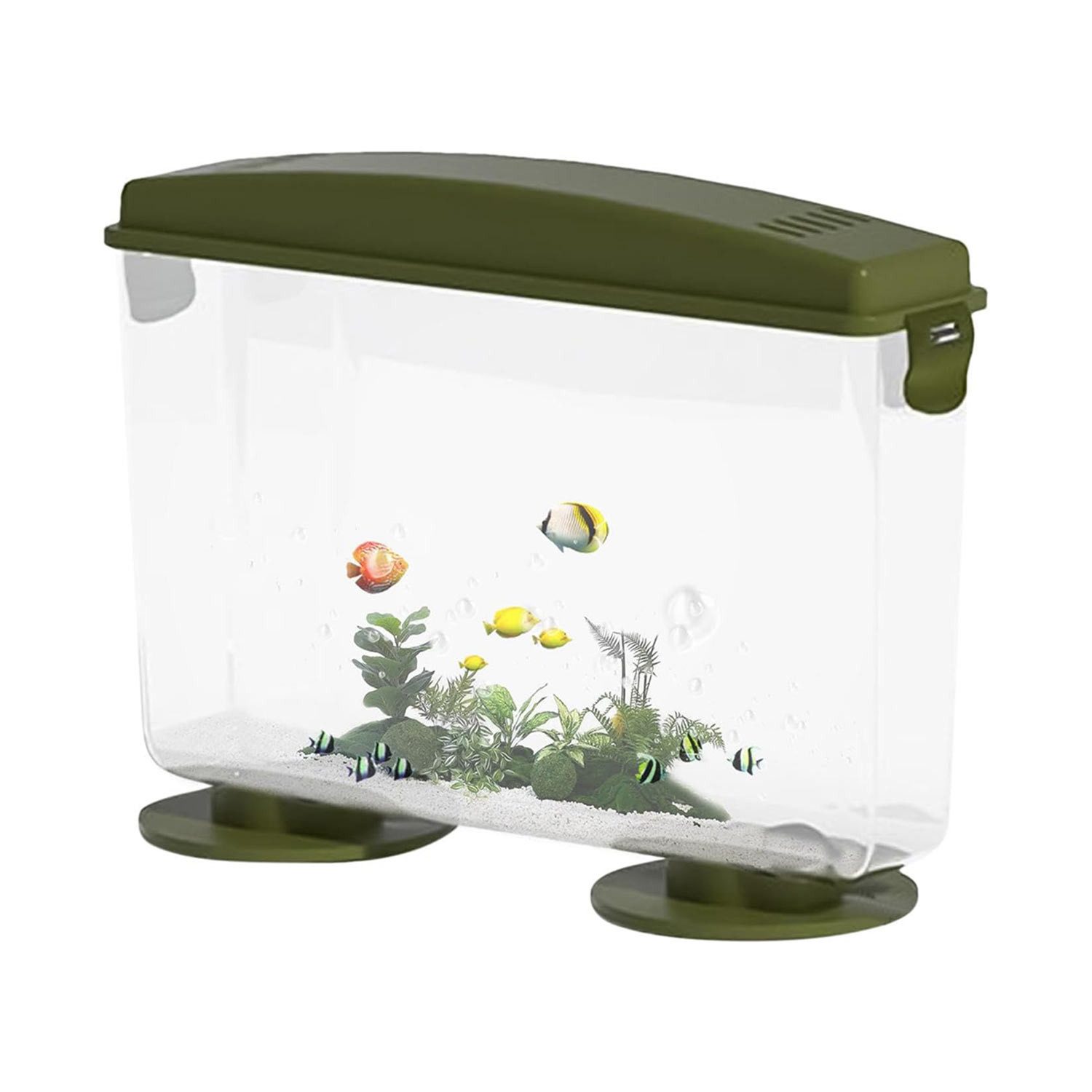 Aquarium Landschaftsfischtank, flaches transparentes Fischtank