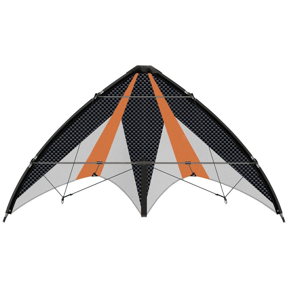Flug-Drache Sportlenkdrachen