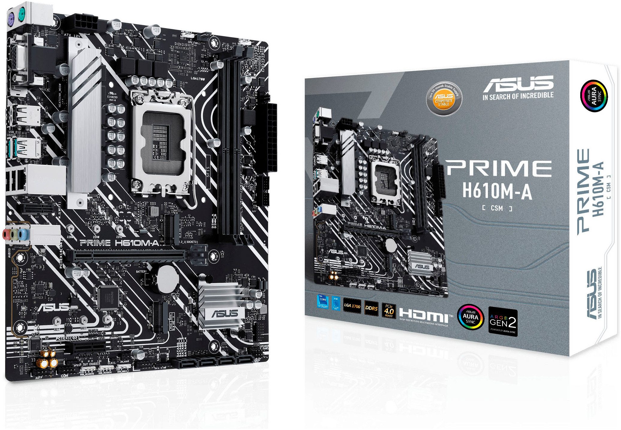 Asus PRIME H610M-A-CSM Mainboard