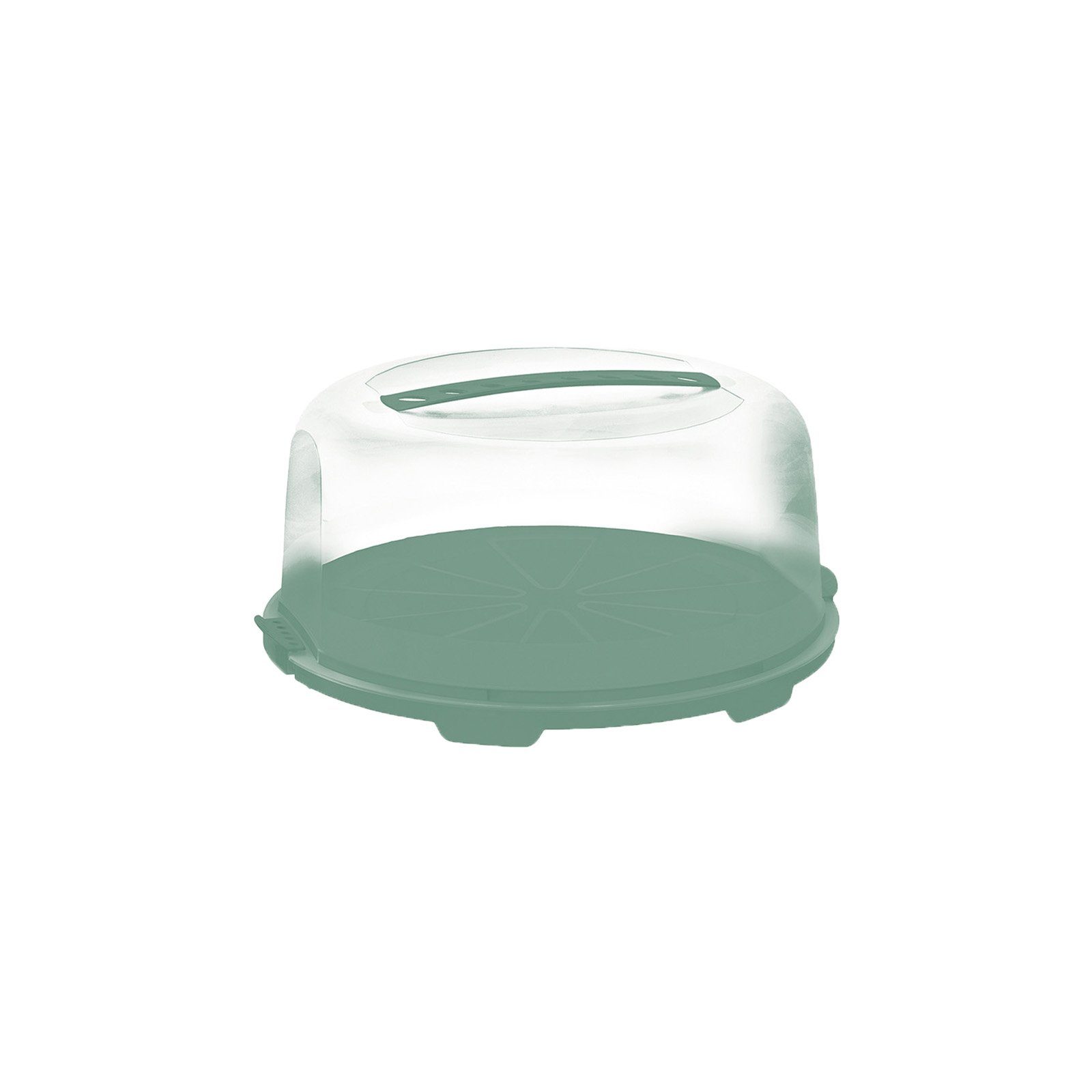 ROTHO Aufbewahrungssystem FRESH hoch Kuchentransportbox mit Haube und Griff