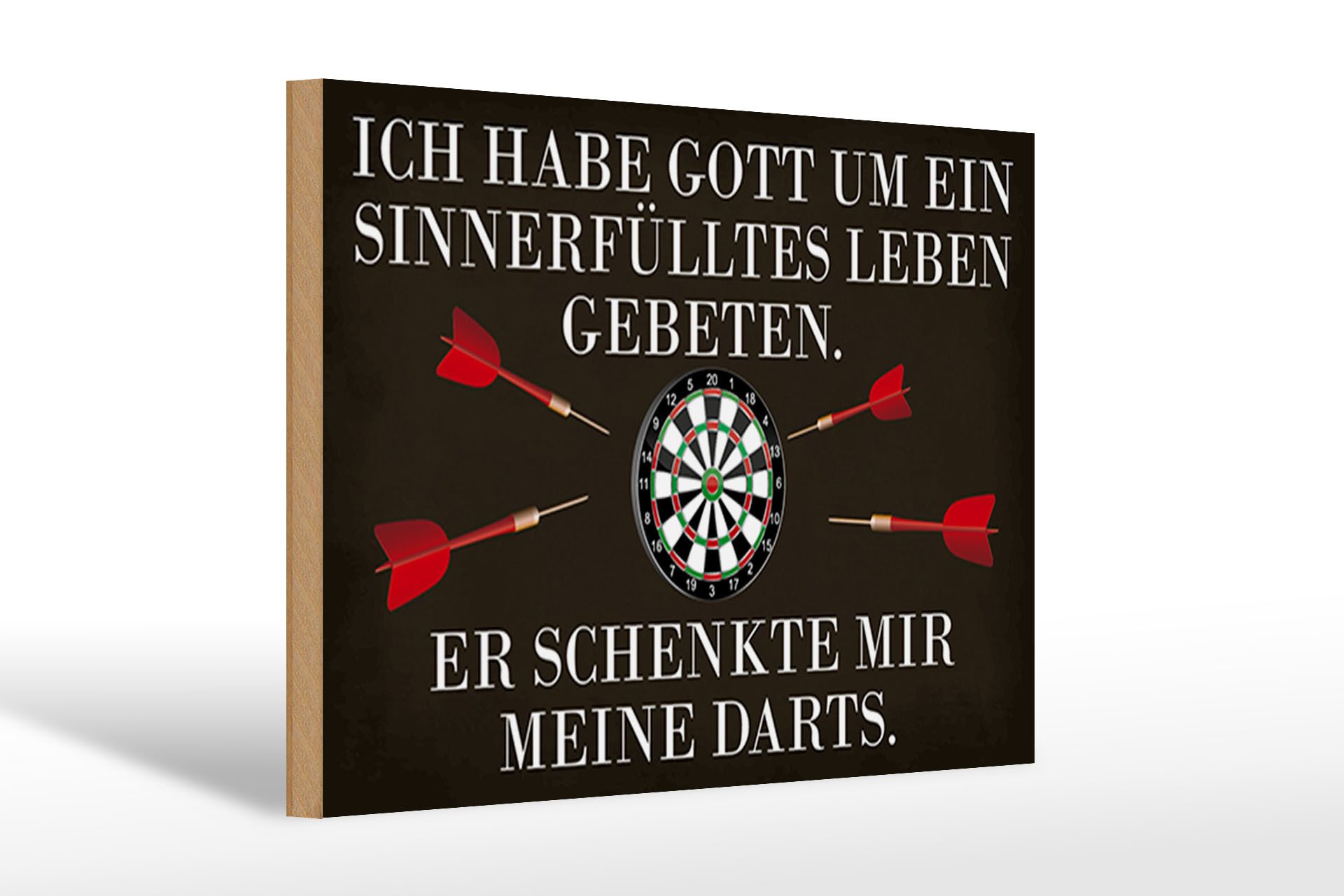 Holzbild Spruch 30x20cm Gott schenkte mir meine Darts
