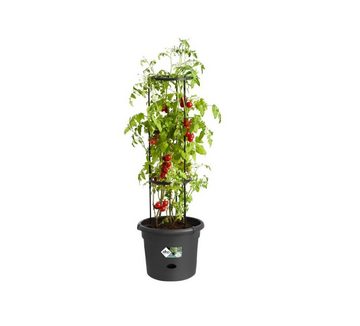 Elho Pflanzkübel green basics tomatentopf 33cm living schwarz