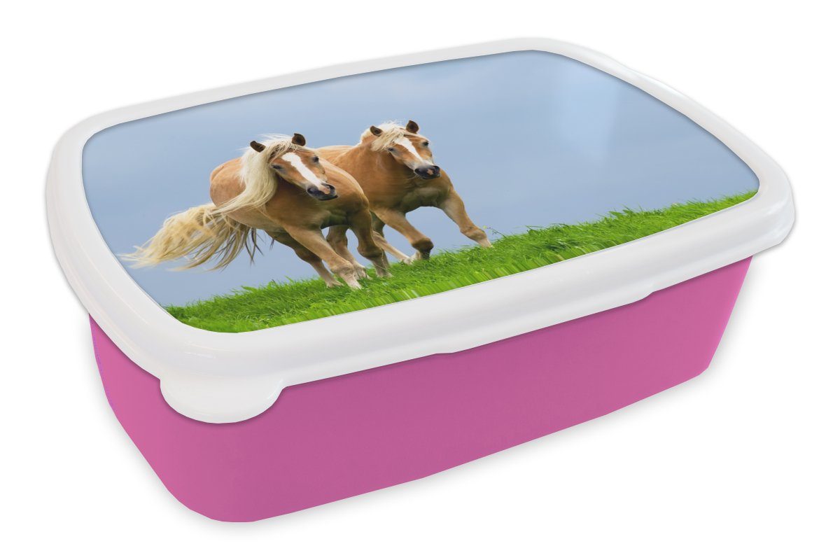 Snackbox, - Lunchbox für Gras Brotbox Brotdose - MuchoWow Luft, Kinder, Kunststoff Kunststoff, (2-tlg), Pferde Mädchen, Erwachsene, rosa