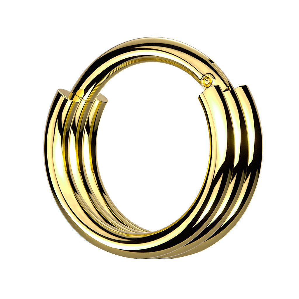 Taffstyle Nasenpiercing Septum Piercing Segment Ring günstig online kaufen