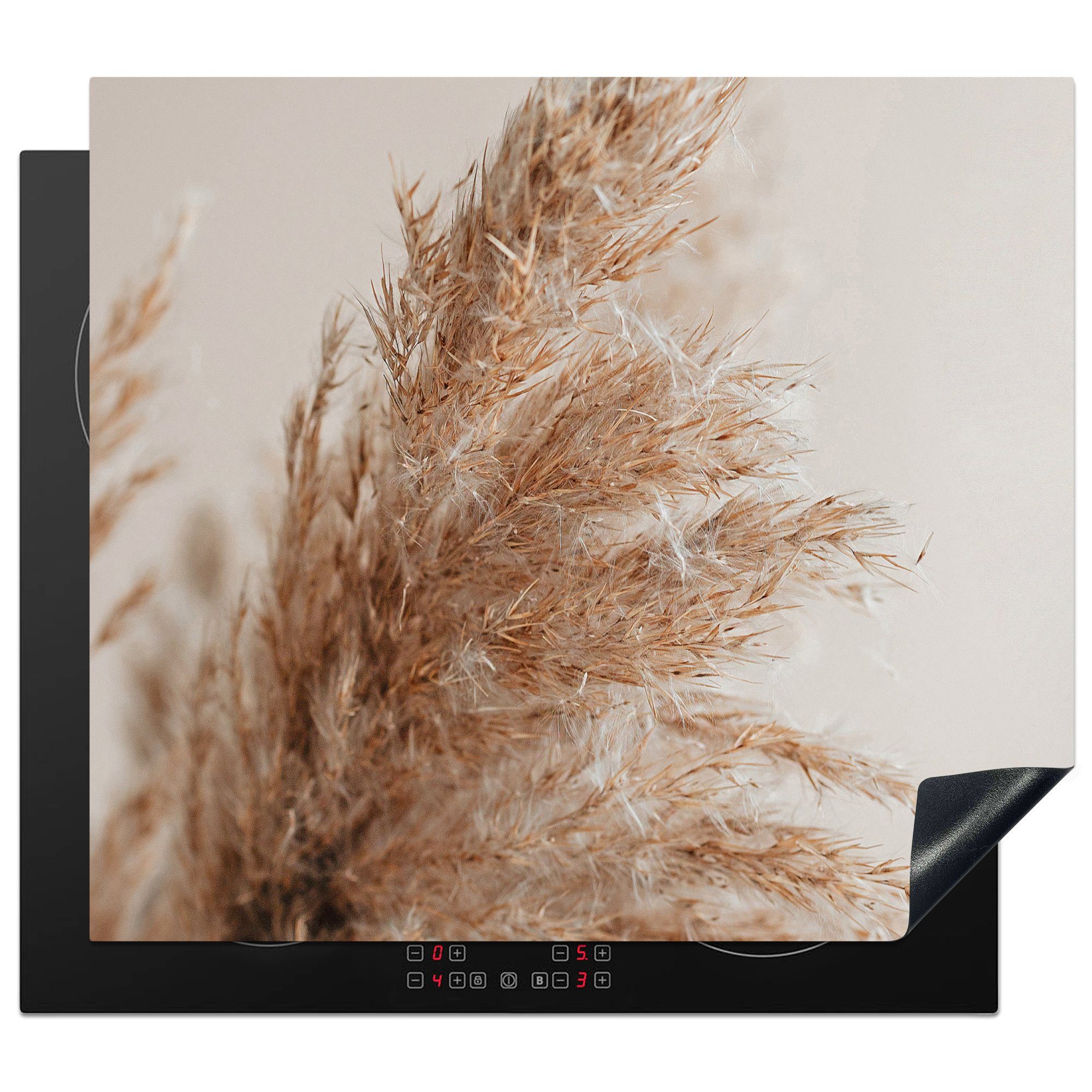 MuchoWow Herdblende-/Abdeckplatte Gras - Pflanzen - Natur - Pampasgras, Vinyl, (1 tlg), 58x51 cm, Küchen Dekoration für Induktionsherd, Induktionskochfeld