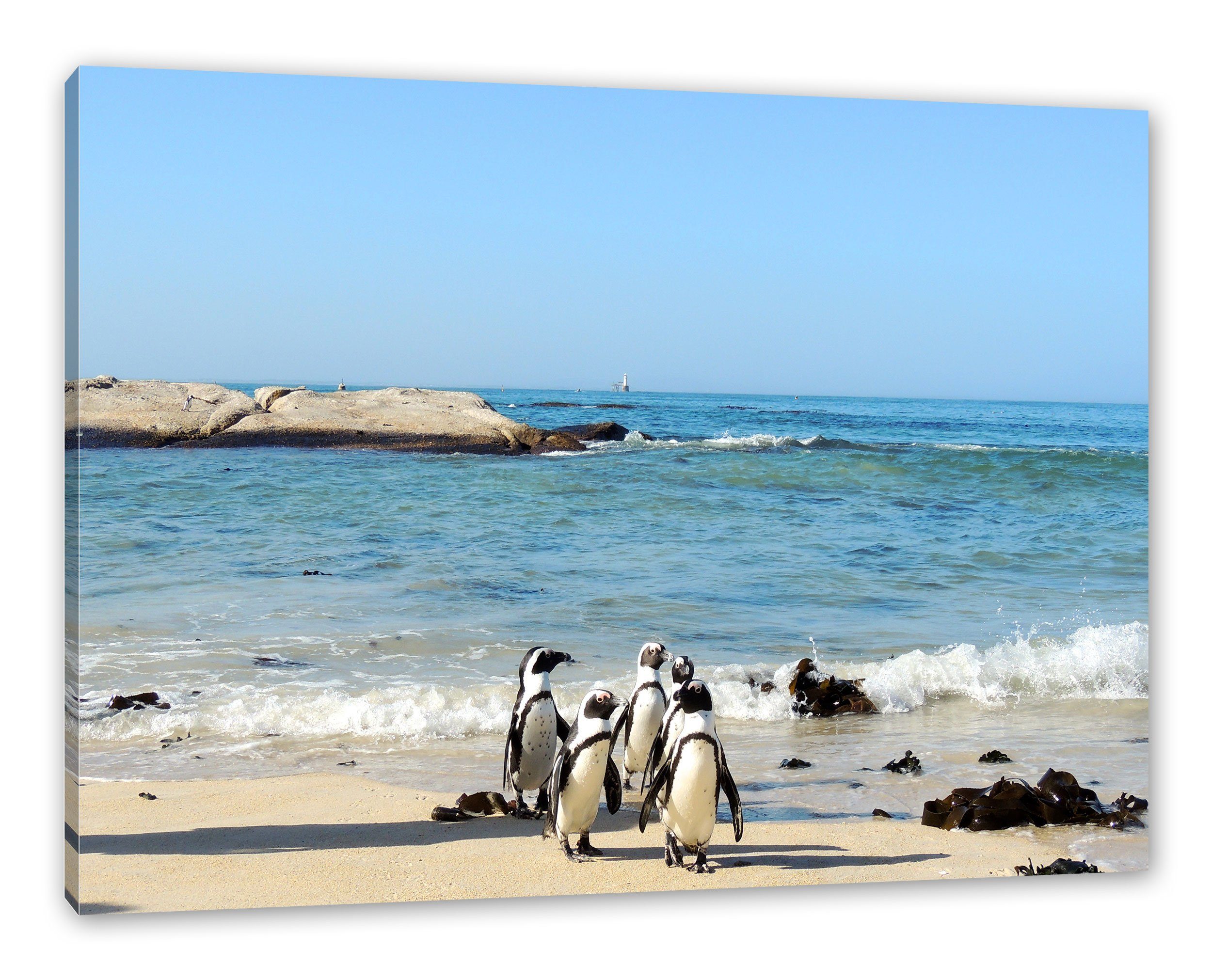Pixxprint Leinwandbild Pinguine am Strand, Pinguine am Strand (1 St), Leinwandbild fertig bespannt, inkl. Zackenaufhänger | Leinwandbilder