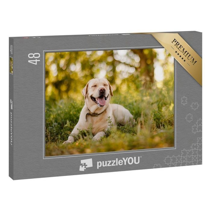puzzleYOU Puzzle Goldener Labrador Retriever im Park 48 Puzzleteile puzzleYOU-Kollektionen Hunde Labrador