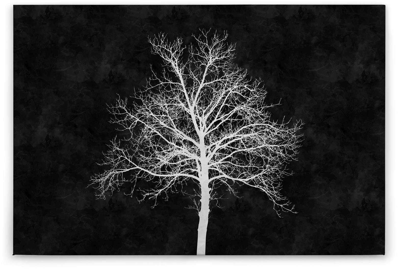 Baum (1 Keilrahmen Schwarz-Weiß St), Leinwandbild Création Tafel blackboard, Bild A.S.