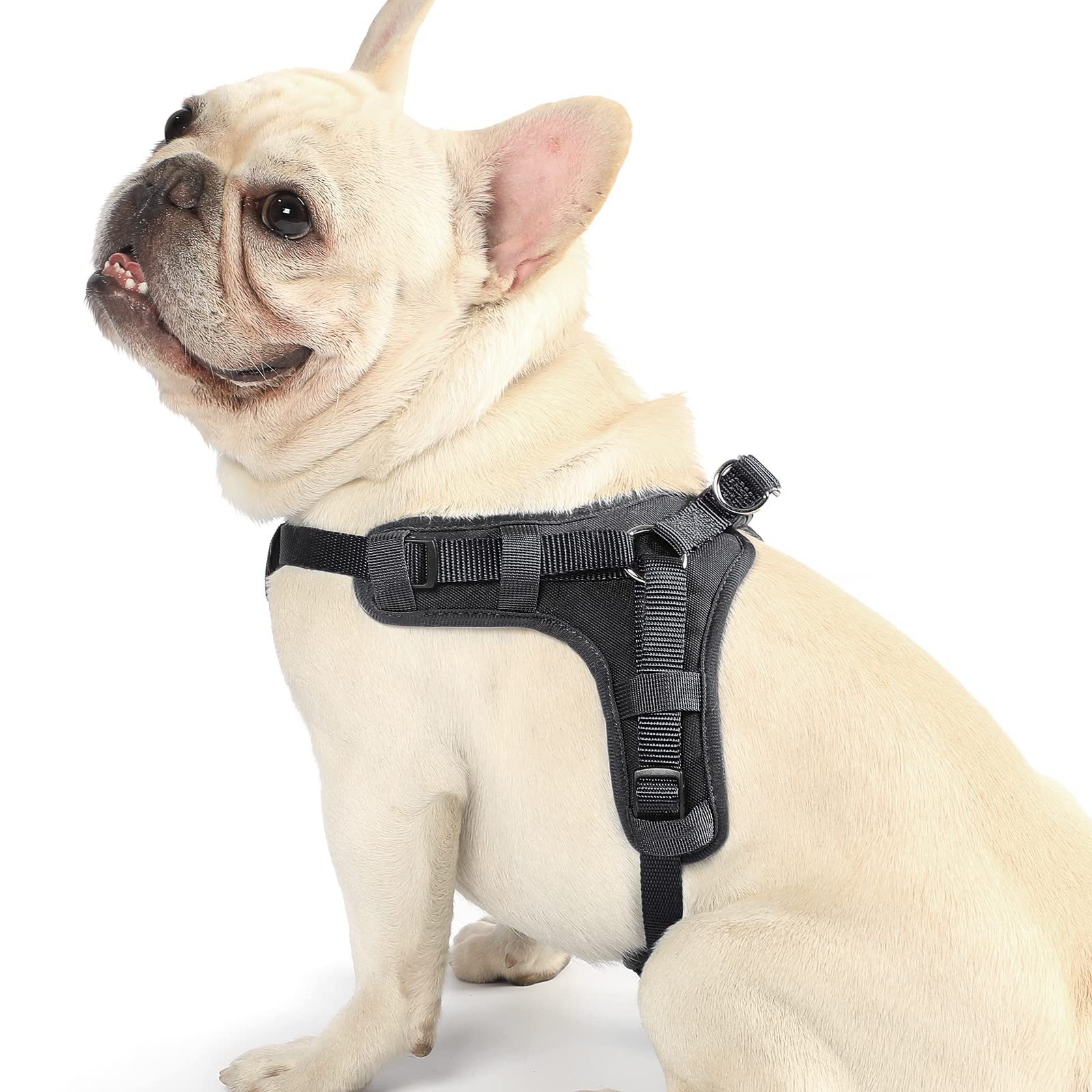 YI Hunde-Sicherheitsgeschirr Hundegeschirr Einstellbar Anti Zug Geschirr Kl günstig online kaufen