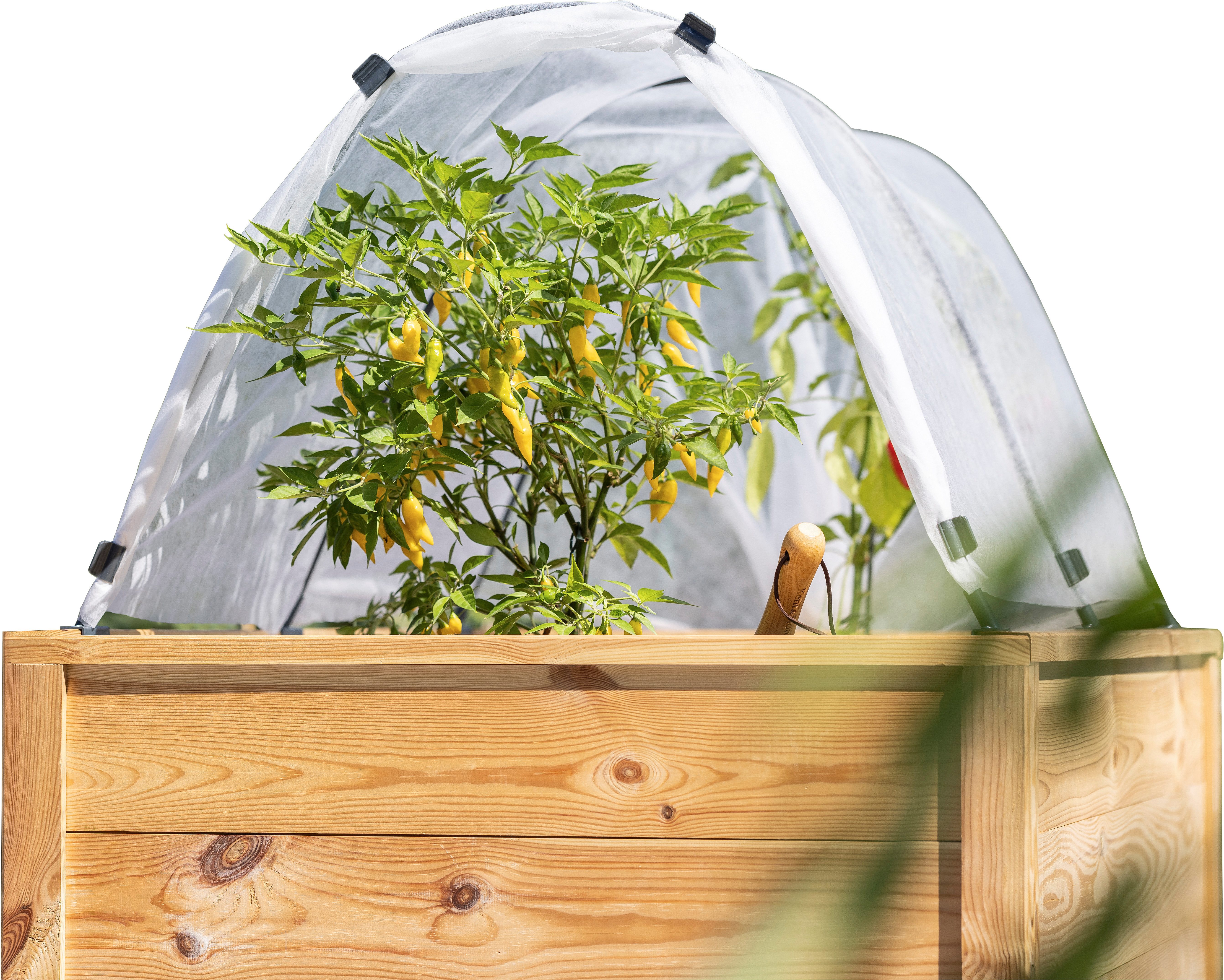Windhager Hochbeet Tunnelbogen Komplettset, Insektenschutz und Wachstumsvlies (1 St), Pflanztunnel für Frühbeet, wachstumsfördernd, 4 x 2 m, weiß