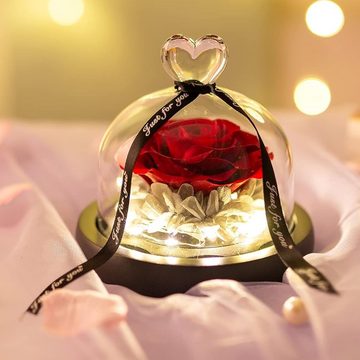 Kunstblume Blume Konservierte Rose Ewige Rose LED Lichterkette Hochzeit, AKKEE, Höhe 13 cm, Geschenke für Valentinstag, Muttertag, Jubiläum, Weihnachtstag