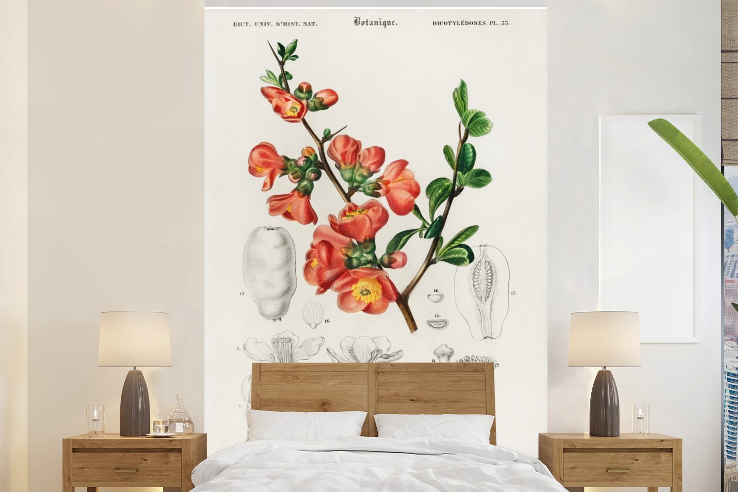 MuchoWow Fototapete Pflanze - Jahrgang - Botanica, Matt, bedruckt, (3 St), Montagefertig Vinyl Tapete für Wohnzimmer, Wandtapete | Fototapeten