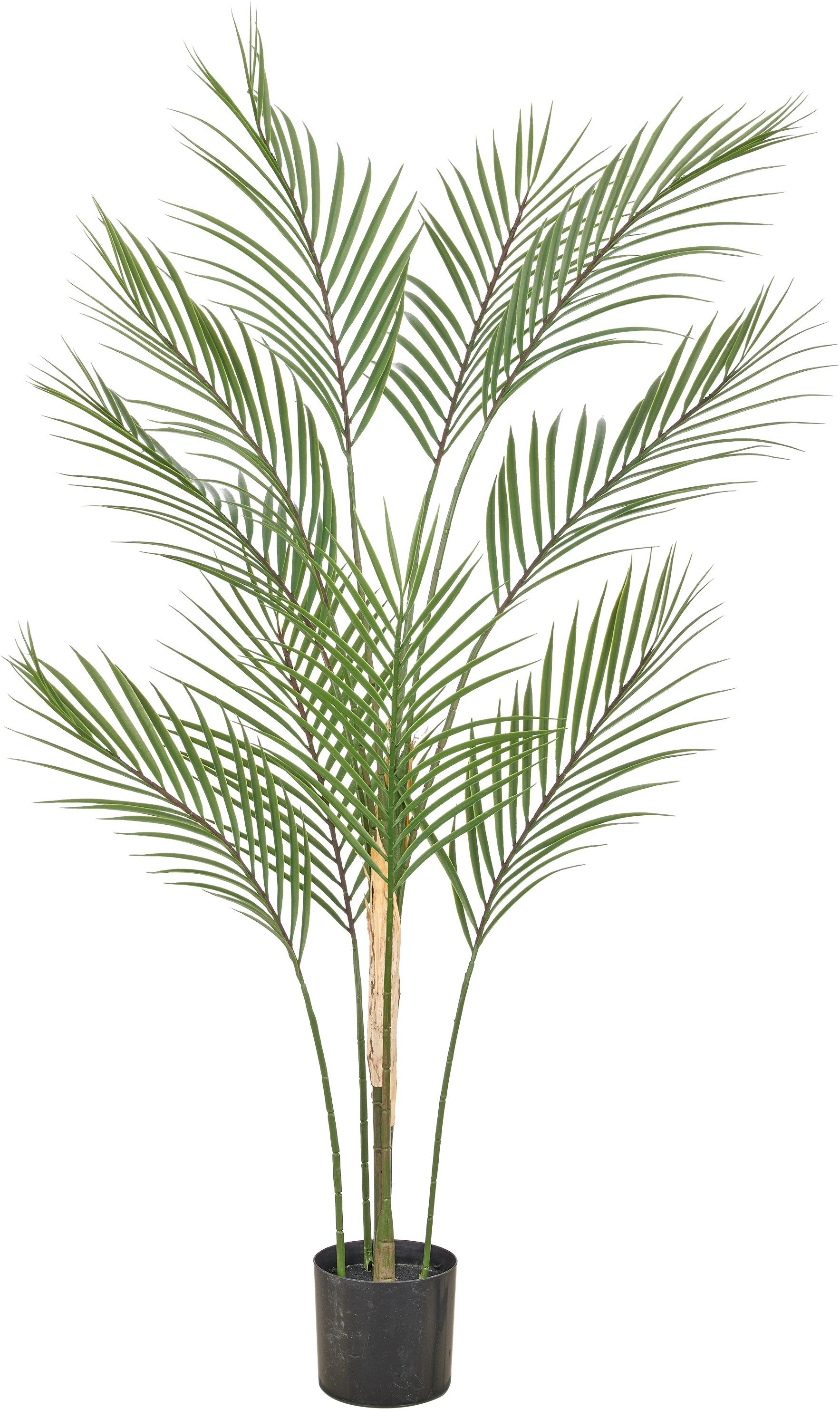 Kunstpalme Phönixpalme, Creativ green, Höhe 110 cm, mit naturgetreuen Palmwedeln