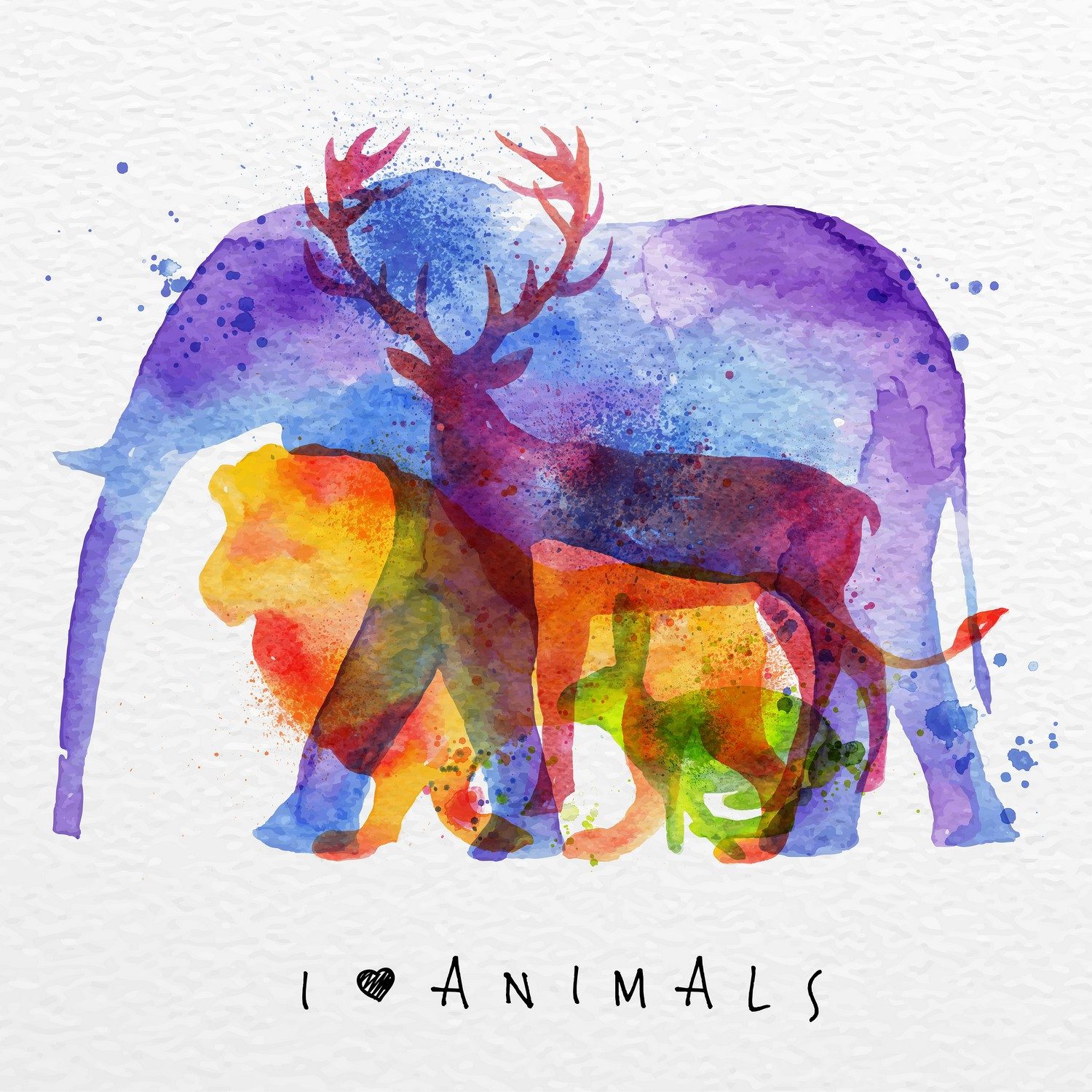 Wallario Möbelfolie Farbenvielfalt der Tierwelt