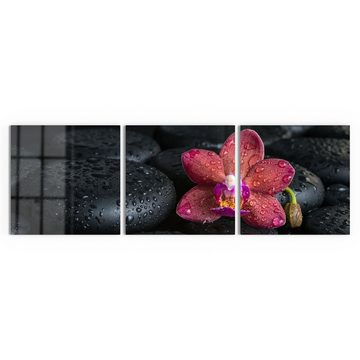 DEQORI Glasbild 'Blüte und Steine benetzt', 'Blüte und Steine benetzt', Glas Wandbild Bild schwebend modern