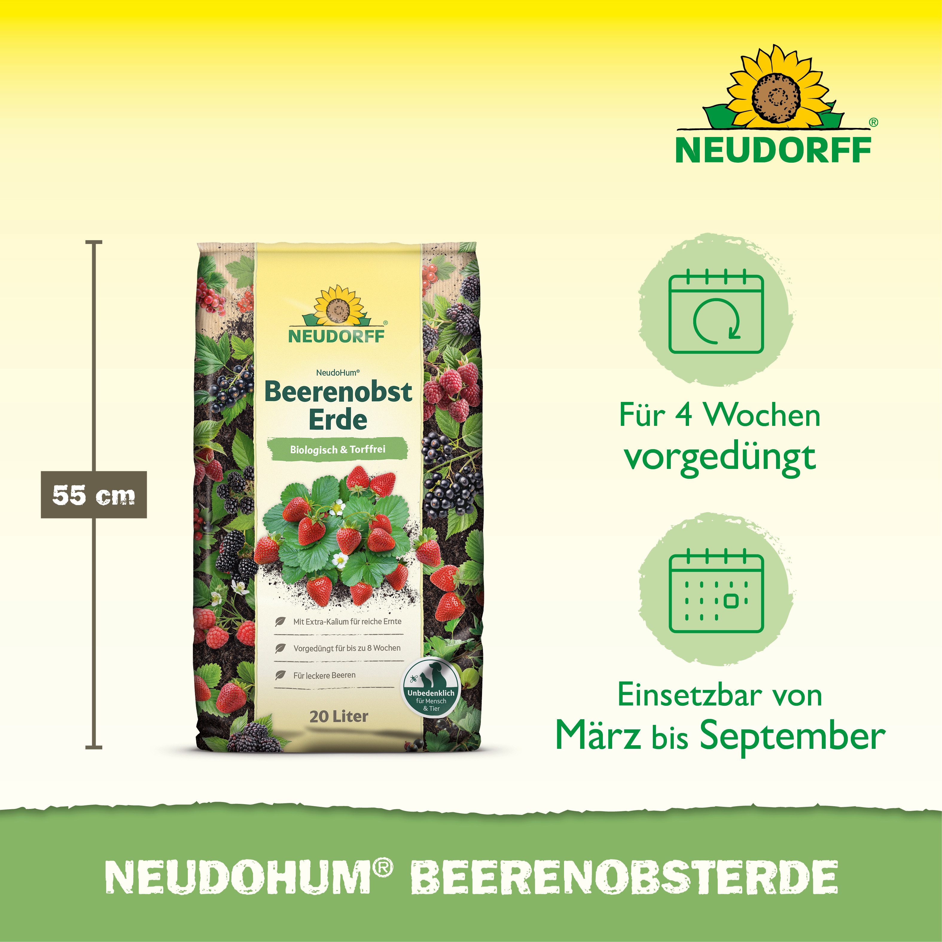 Neudorff Pflanzerde NeudoHum BeerenobstErde 20 Liter, mit Organische Grunddüngung, (Einzelartikel, Für leckere Beeren, unterstützt eine gute Fruchtentwicklung), – Bild 3 von 5