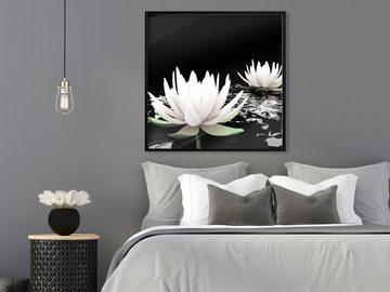 Artgeist Poster Lotus Flowers []