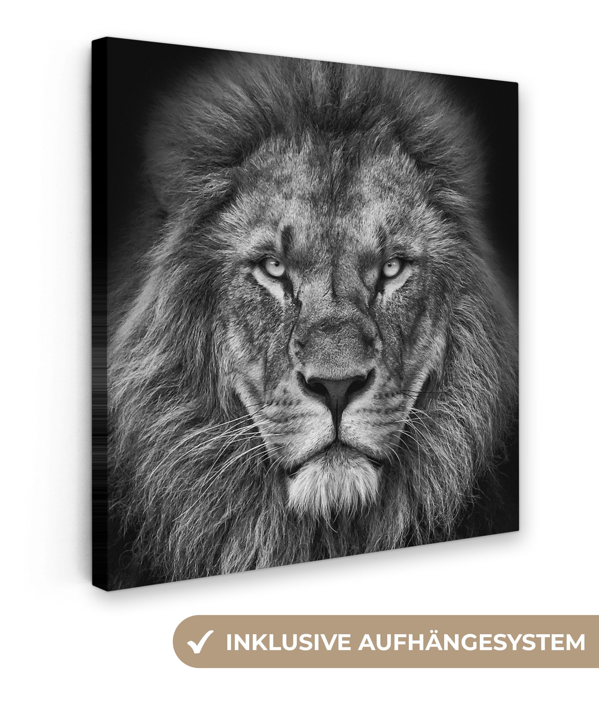 OneMillionCanvasses® Leinwandbild Tiere - Löwe - Schwarz - Weiß - Porträt, günstig online kaufen