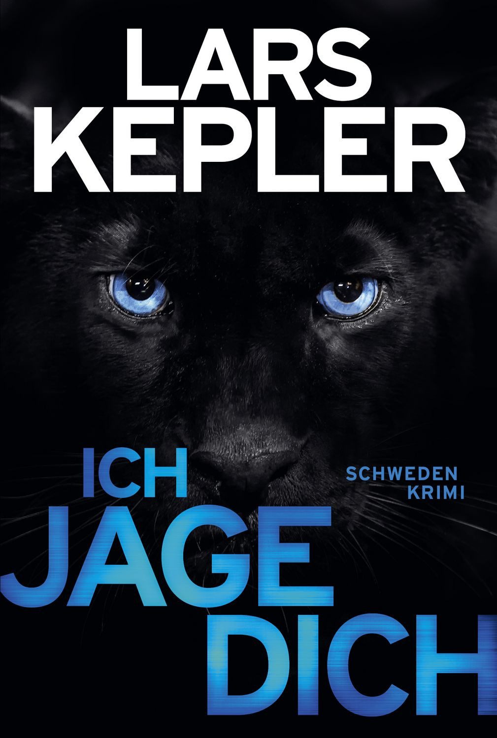 Belletristik Ich jage dich Thriller Lars Kepler
