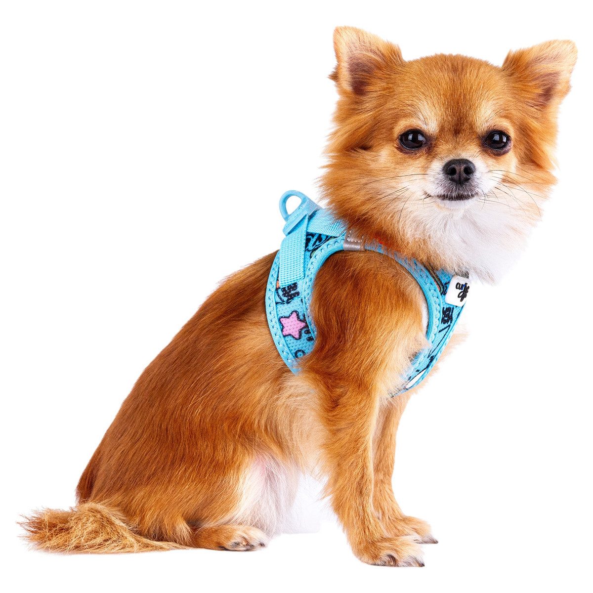 Curli Hunde-Geschirr Clasp Vest Geschirr Limited günstig online kaufen