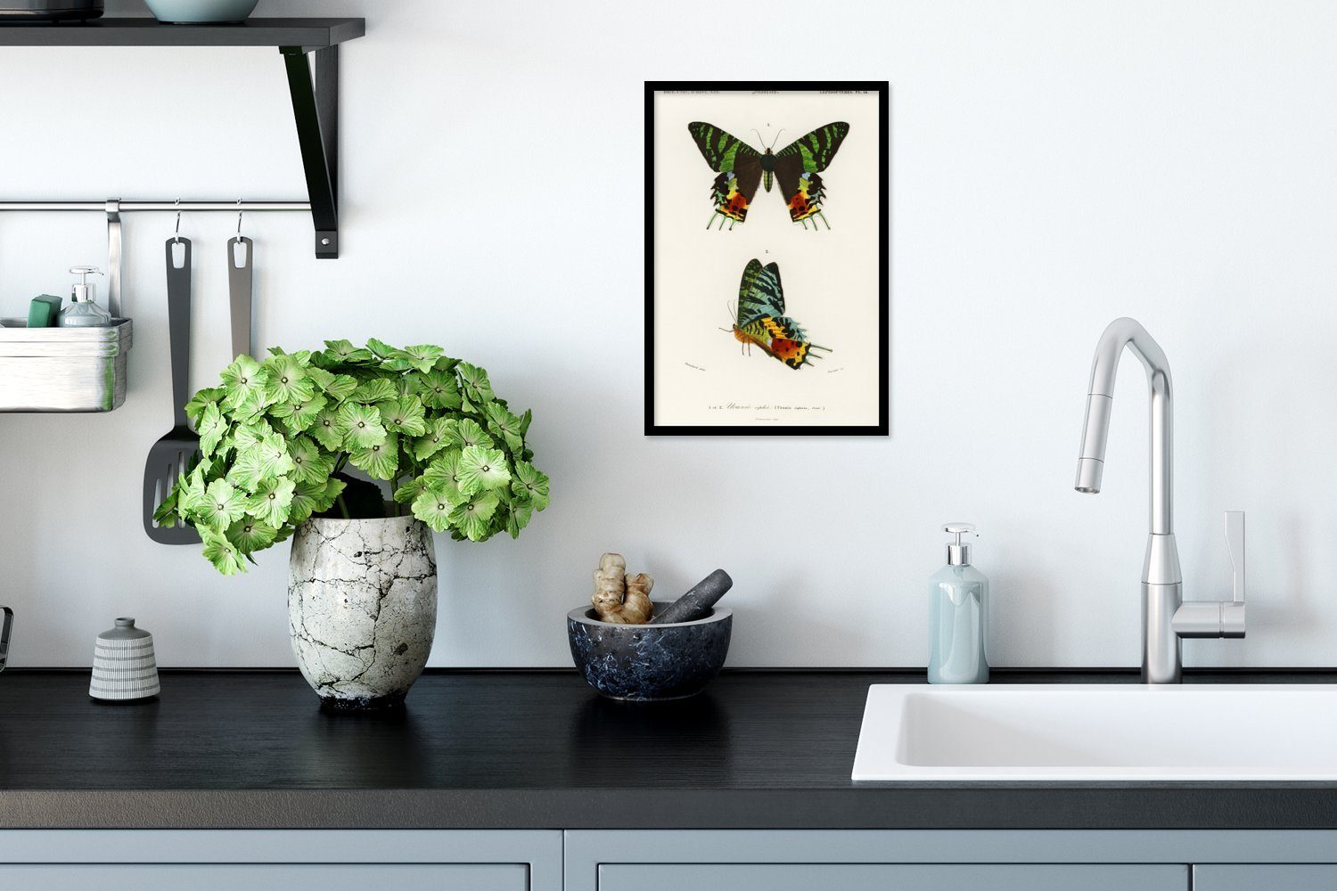 - Schwarzem MuchoWow St), Wanddeko, Wandposter, Insekten, Poster, - Poster Schmetterling (1 Bilder, Gerahmtes Bilderrahmen Vintage