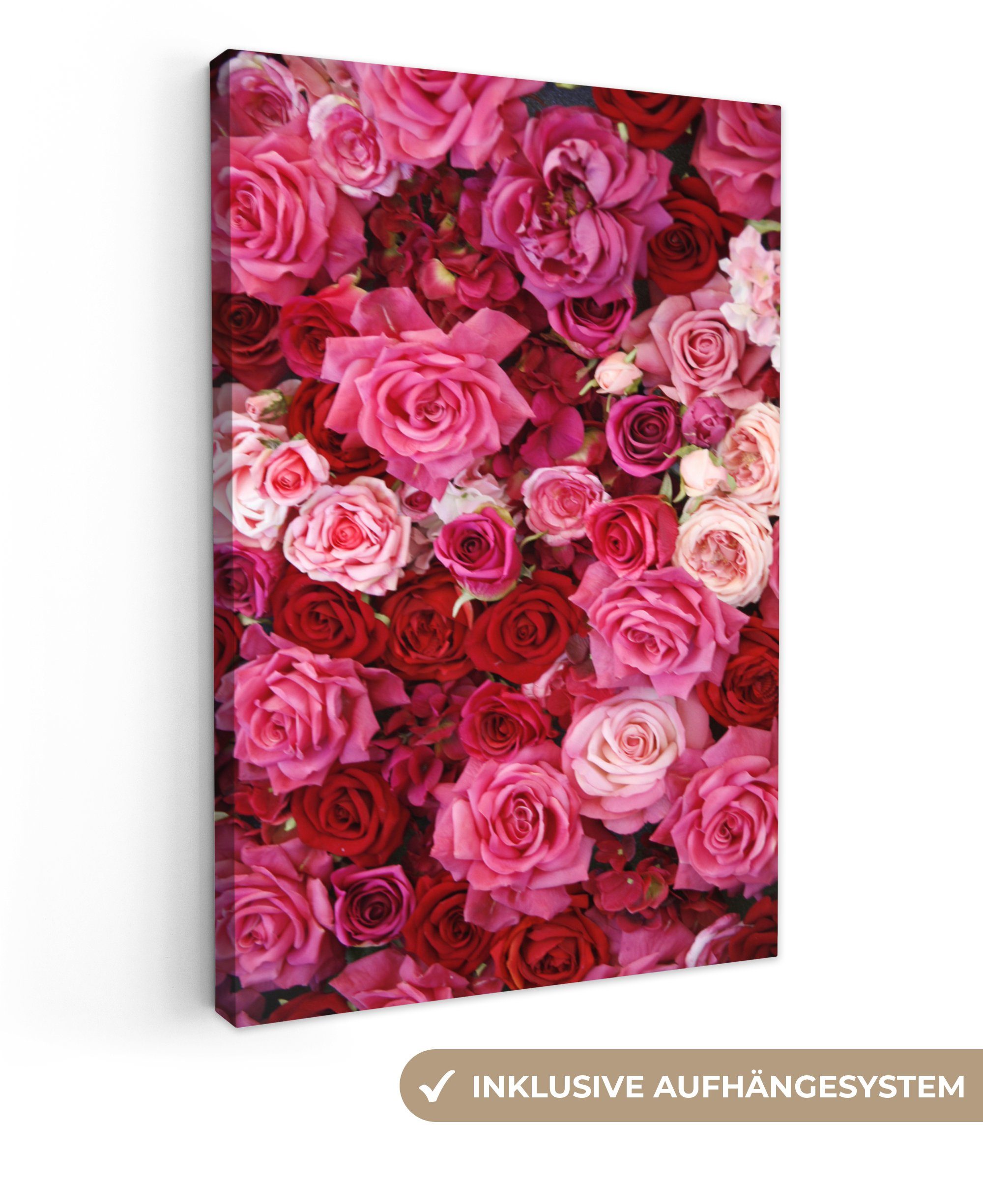 OneMillionCanvasses® Leinwandbild Rosa und rote Rosen, (1 St), Leinwandbild fertig bespannt inkl. Zackenaufhänger, Gemälde, 20x30 cm