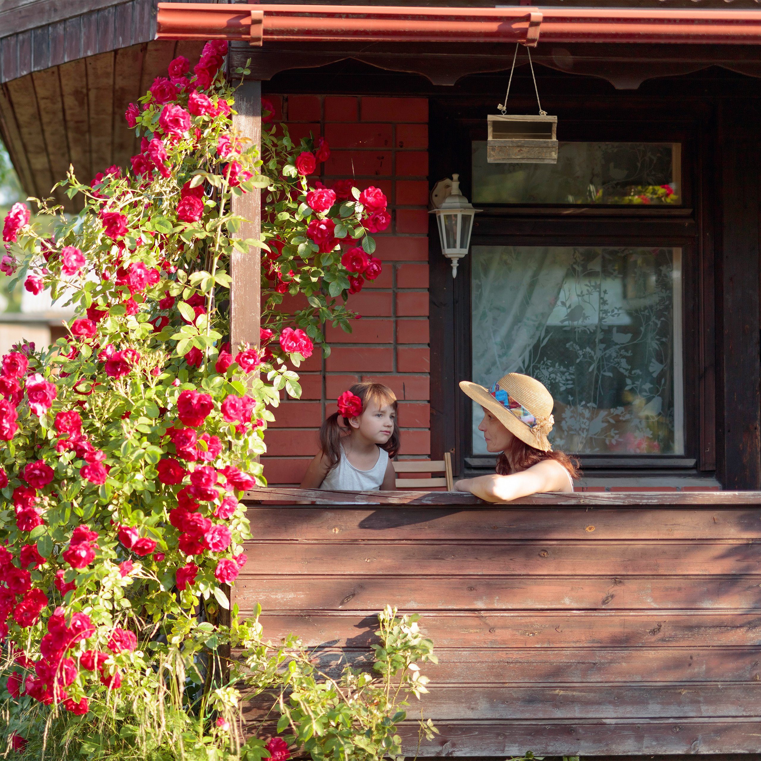 relaxdays Vogelhaus Vogelfutterhaus zum Aufhängen