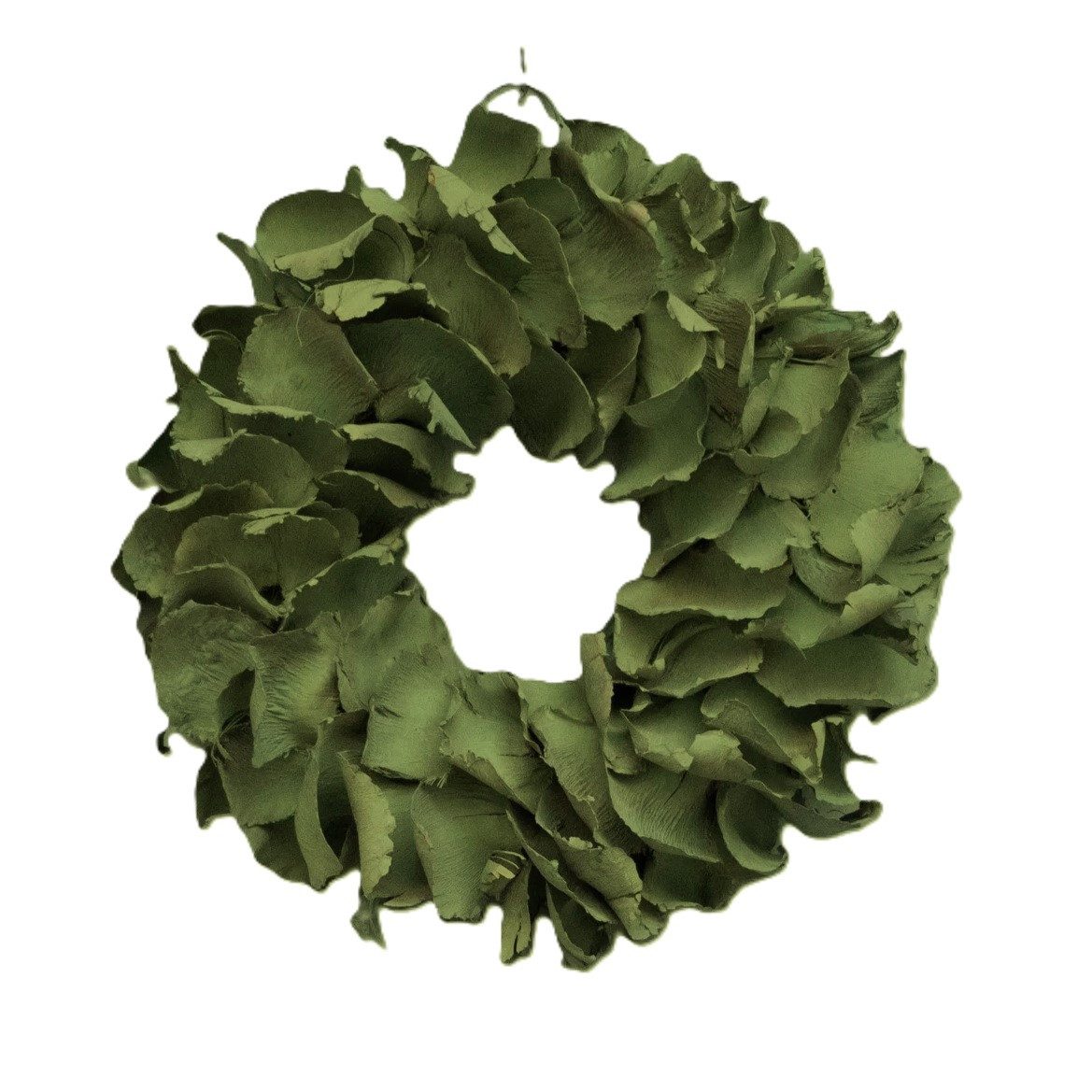 Couronne Dekokranz Kranz Deko Hängekranz Grün Natürlich Landhausstil Klein 25 cm, Naturmaterialien in Handarbeit gefertigt
