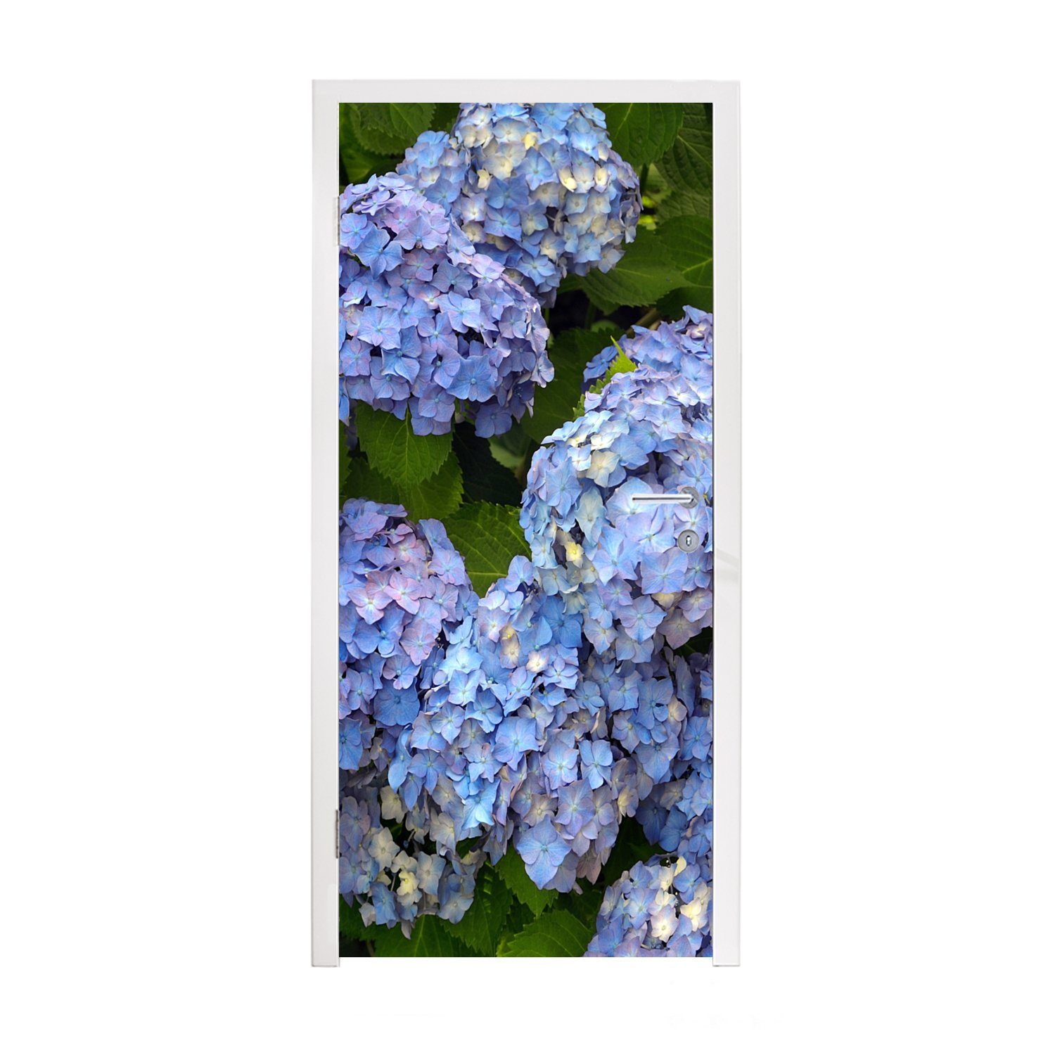 MuchoWow Türtapete Blumenstrauß aus Hortensien, Matt, bedruckt, (1 St), Fototapete für Tür, Türaufkleber, 75x205 cm