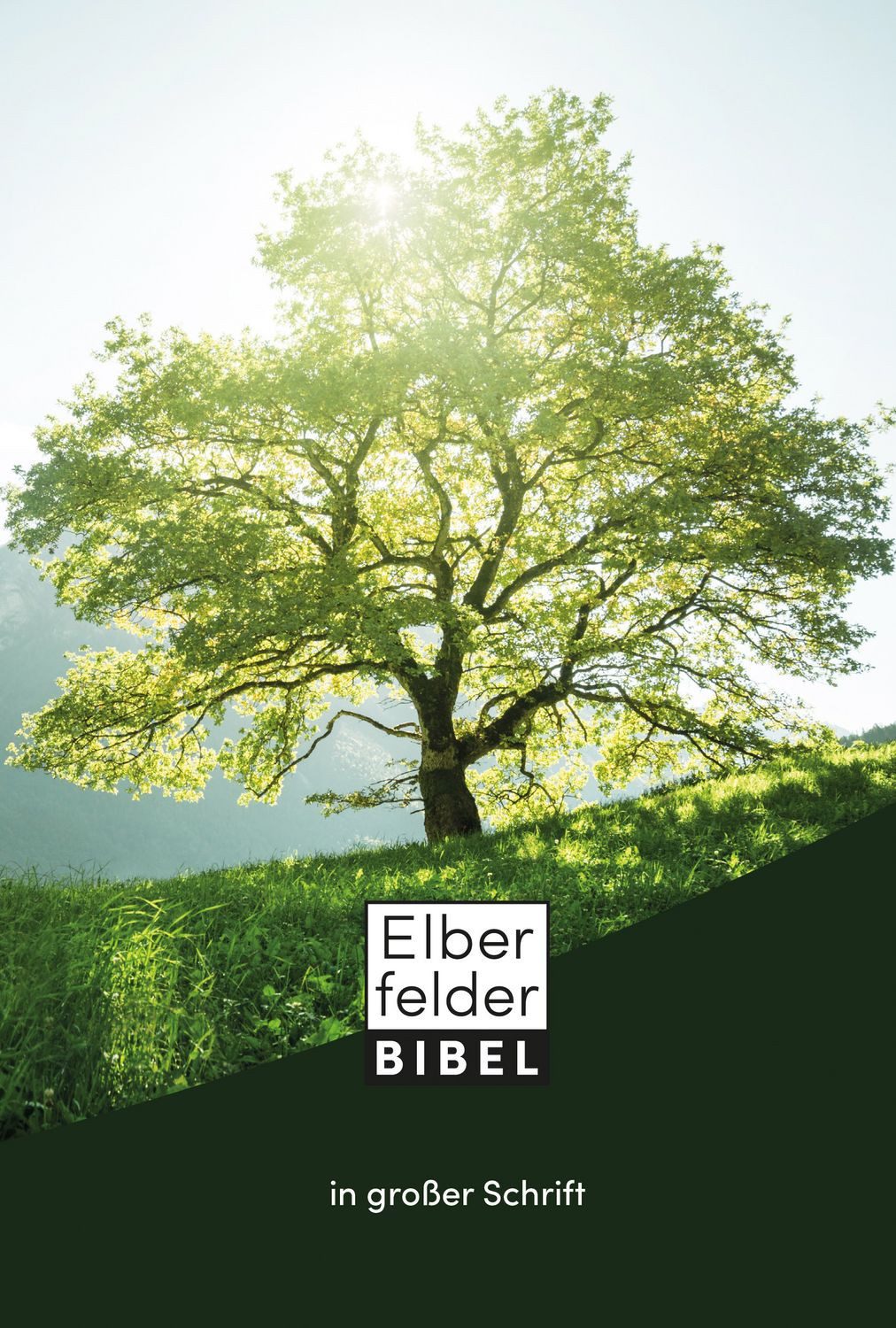 Elberfelder Bibel in großer Schrift / diverse