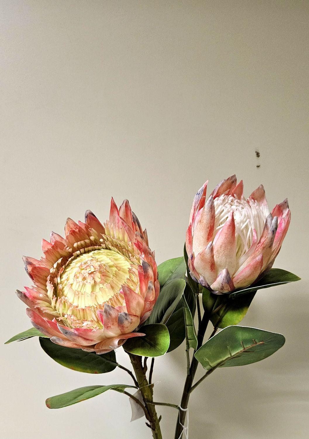 Kunstblume Kunst Blumenzweig Königs-Protea TANIEKA, rosa-weiß, 70cm Protea (Königs Protea), artplants, Höhe 65.0 cm