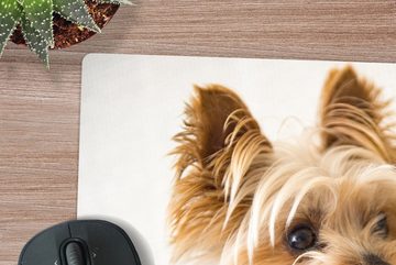 MuchoWow Gaming Mauspad Yorkshire Terrier mit einem Pullover (1-St), Mousepad mit Rutschfester Unterseite, Gaming, 40x40 cm, XXL, Großes