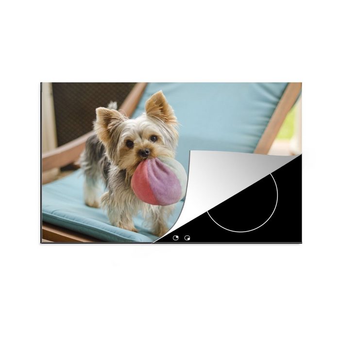 MuchoWow Herdblende-/Abdeckplatte Yorkshire Terrier spielt mit einem bunten Ball Vinyl (1 tlg) Ceranfeldabdeckung für die küche Induktionsmatte