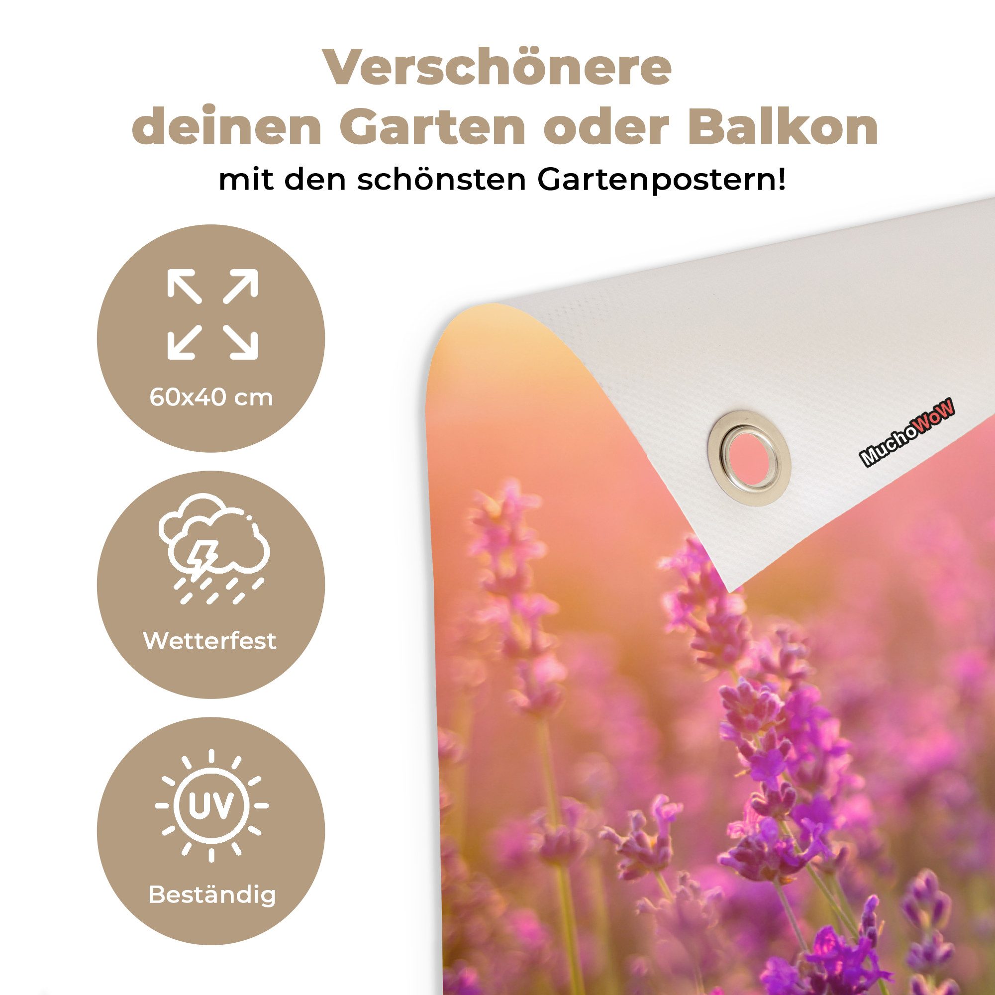 OnlyWow Poster für Garten Lavendel - Frühling - Lila, Gartenposter, Outdoor Bilder, Gartendekoration Bild, 60x40 cm