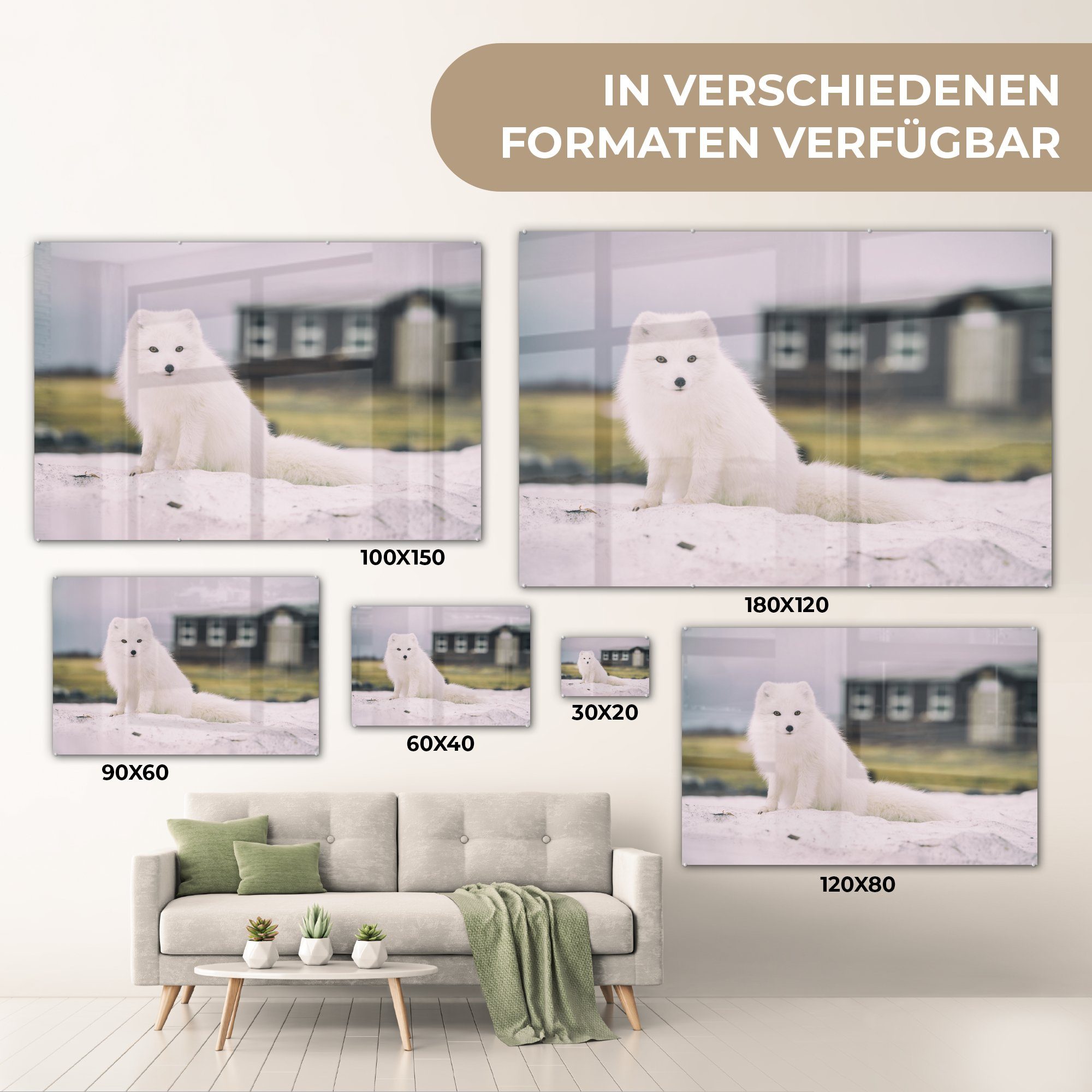 Acrylglasbilder - Fuchs Acrylglasbild Weiß St), MuchoWow Schlafzimmer - & Wohnzimmer (1 Fell,