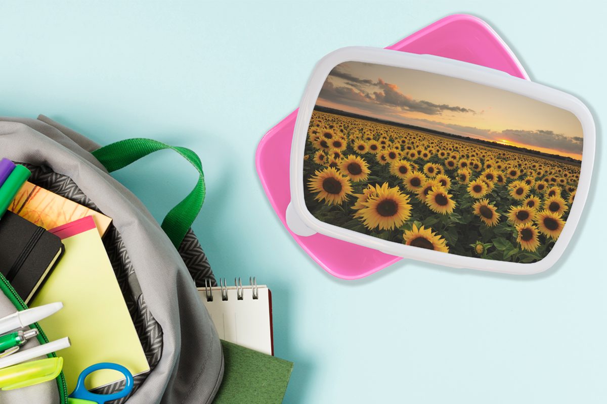 Farben, Erwachsene, für (2-tlg), Sonnenuntergang Kinder, Brotdose Snackbox, rosa - Kunststoff Sonnenblume - Mädchen, Lunchbox Kunststoff, MuchoWow Brotbox